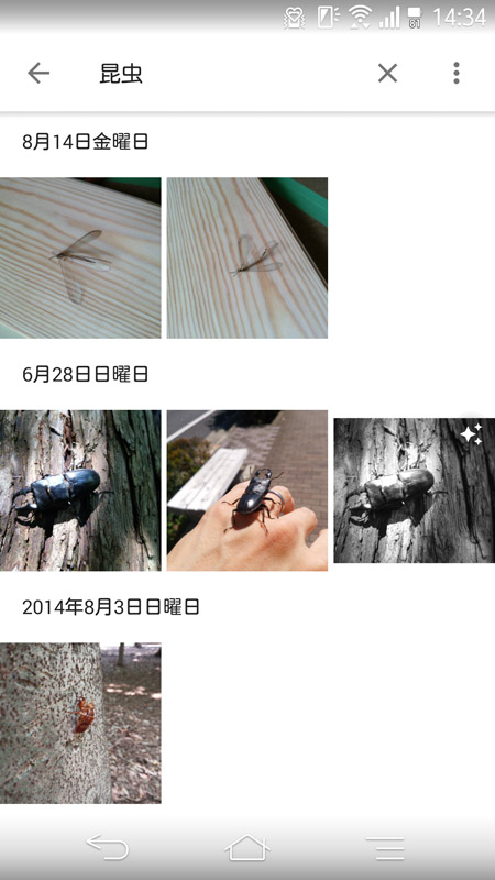 “食品”や“昆虫”のほか、“サーキット”というキーワードでもきちんと検索できる