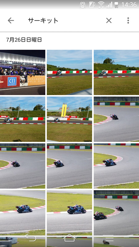 “食品”や“昆虫”のほか、“サーキット”というキーワードでもきちんと検索できる