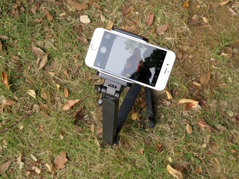 見上げるようなアングルで撮影することもできる