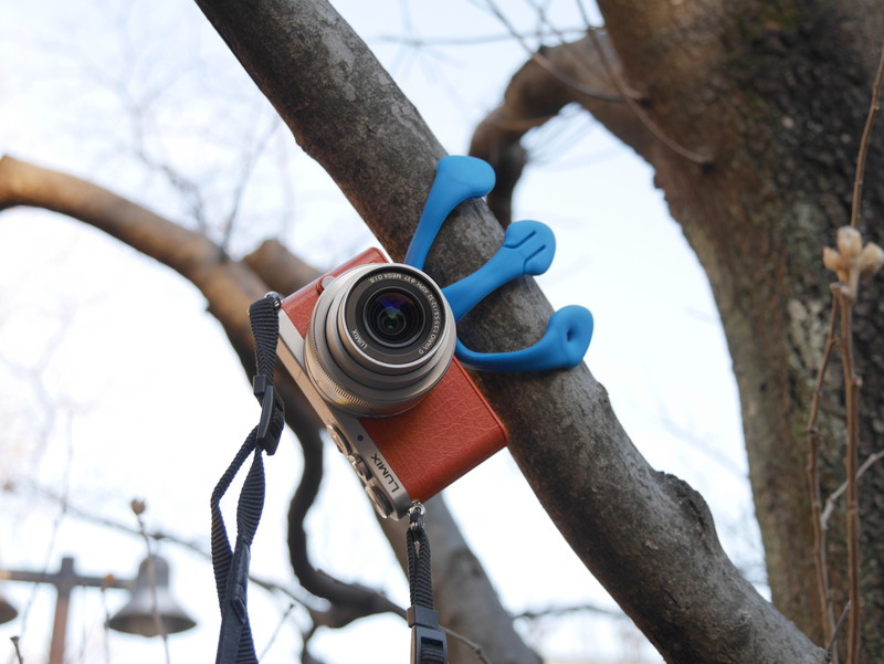 枝が太いとずり落ちてしまうが、細めのものならば固定可能