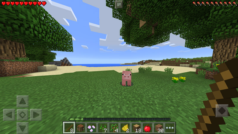 動物やモンスターを倒せばアイテムが手に入ることも