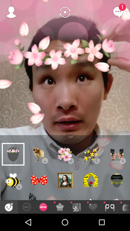 初春（しょしゅん。ういはるではない）ということで、花飾りを頭にかぶせてみる