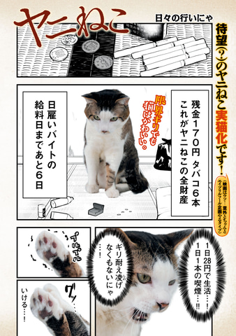 週刊ヤングマガジン18号」が本日4月1日に発売。「ヤニねこ」がまさかの