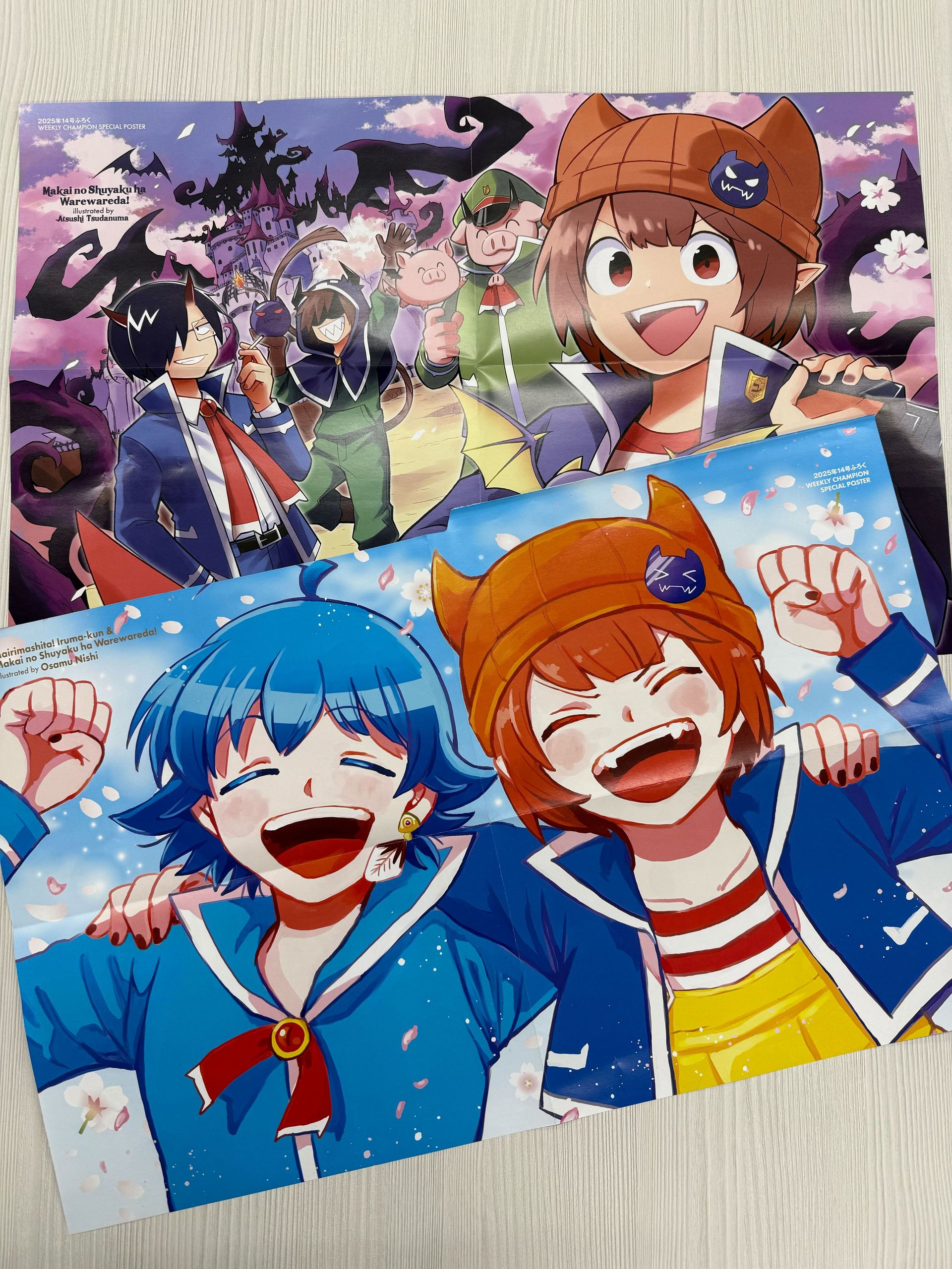 付録「両面BIGポスター」