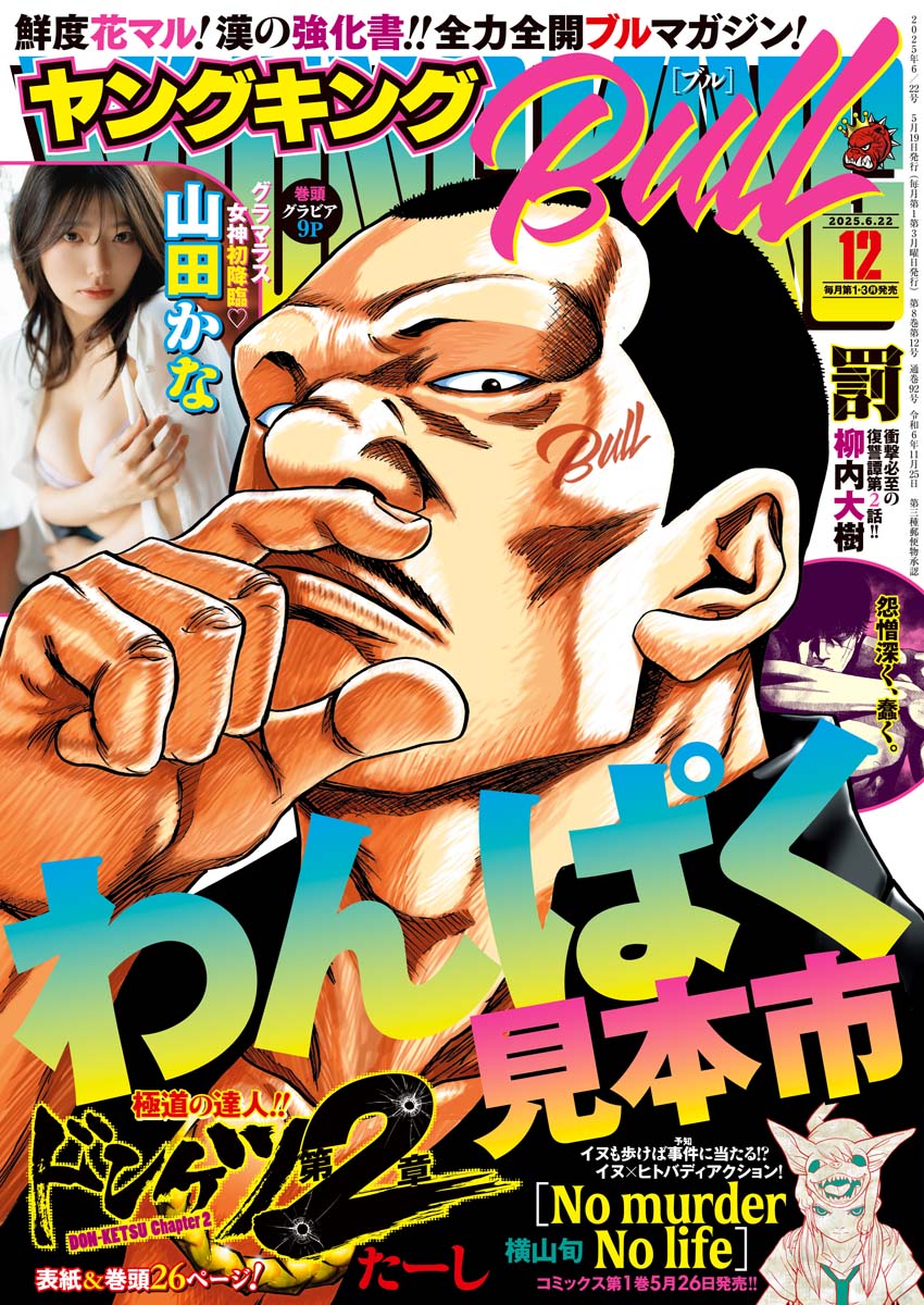 ヤングキングBULL 2025年12号
