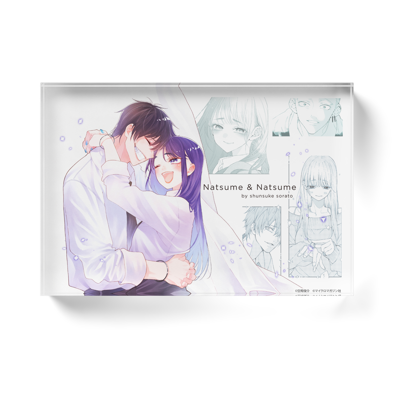 アクリルブロック　なつめとなつめ　/ 価格：5,490円