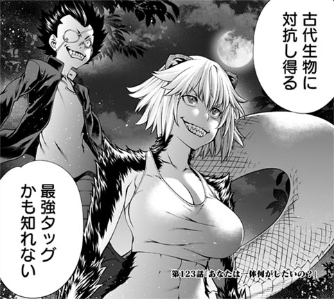 手を組む蜜獾（ラーテル）と壷舞螺（コブラ）