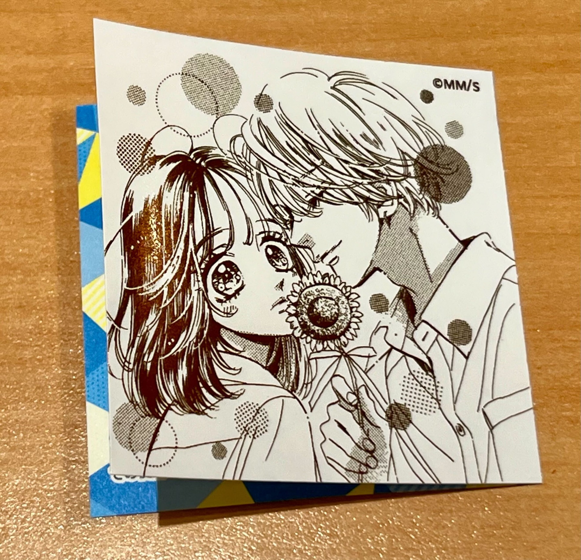 ひまわりの花を持つ界と羽花
