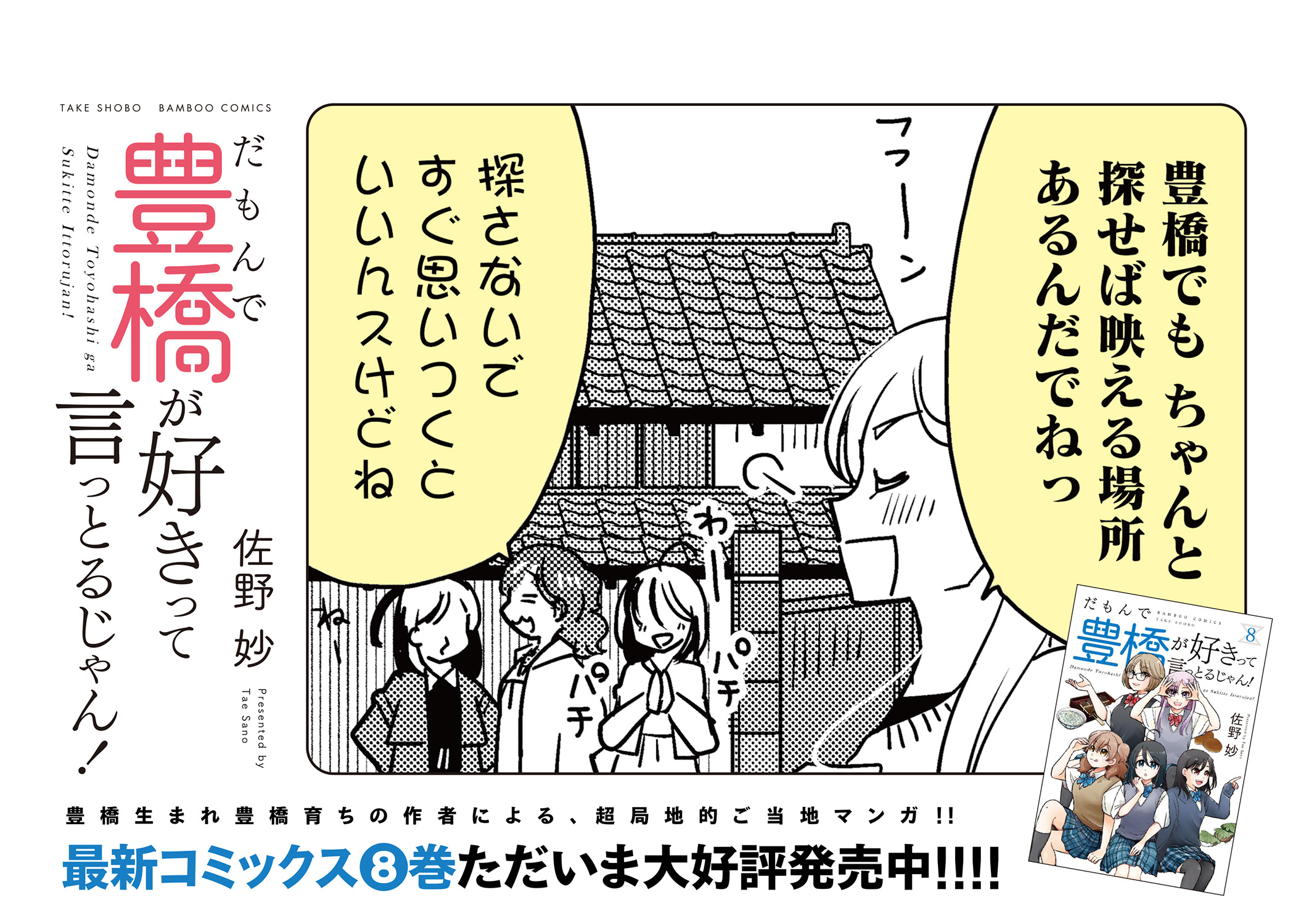 豊橋鉄道市内線　中吊りポスター