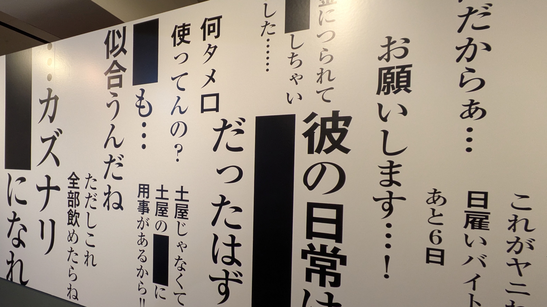 入口正面に掲示された「誠に遺憾な裏表ウォール」。雲行きが怪しいがまだ健全