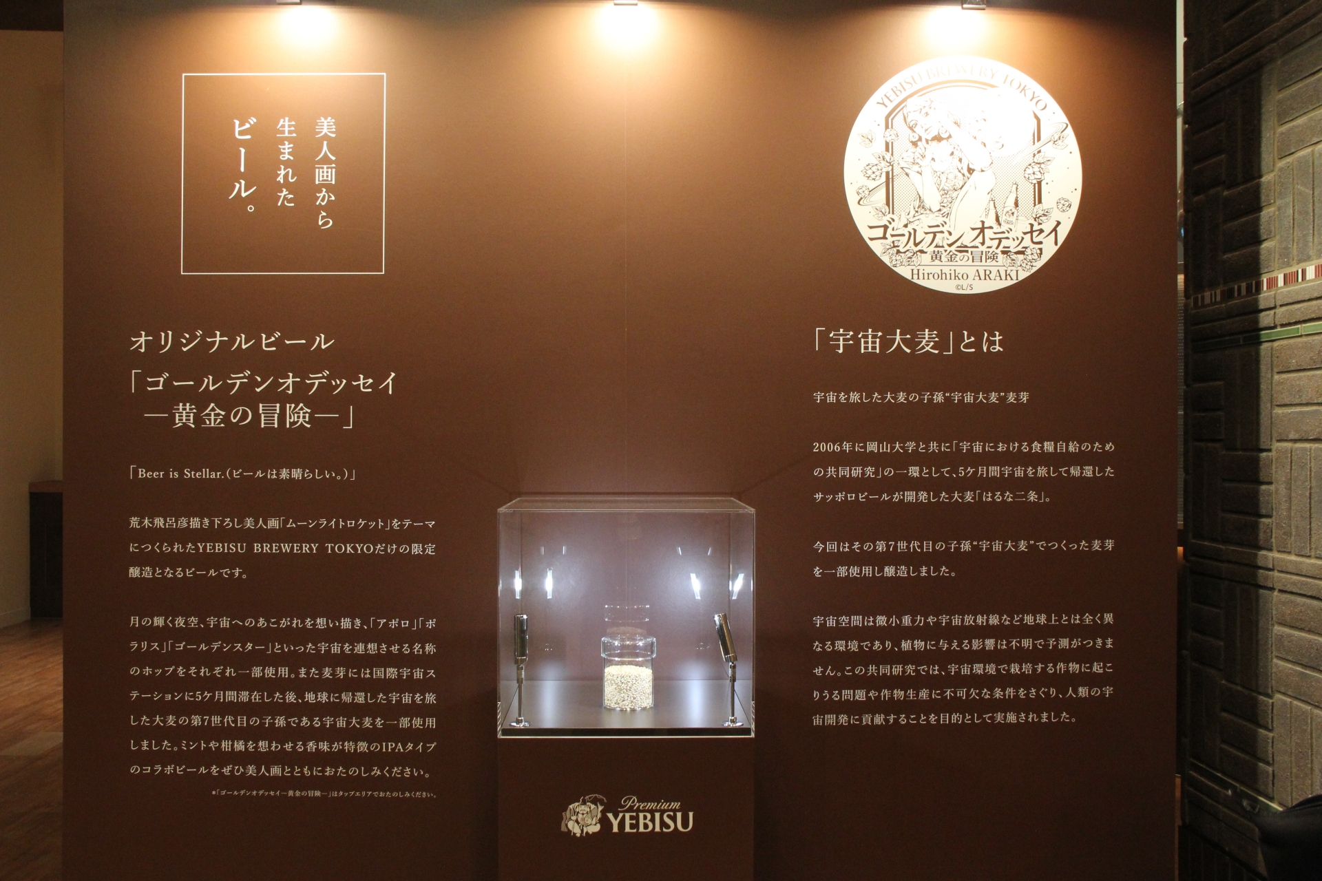 YEBISU BREWERY TOKYO限定の「ゴールデンオデッセイ－黄金の冒険－」。こちらは宇宙大麦を用いているということで、その麦芽も展示されていた