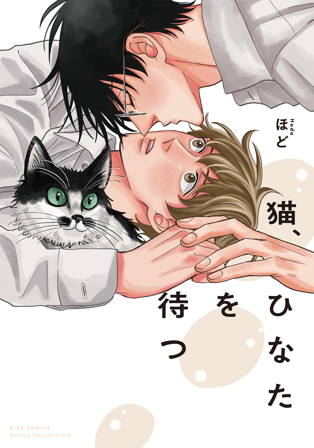 「猫、ひなたを待つ」