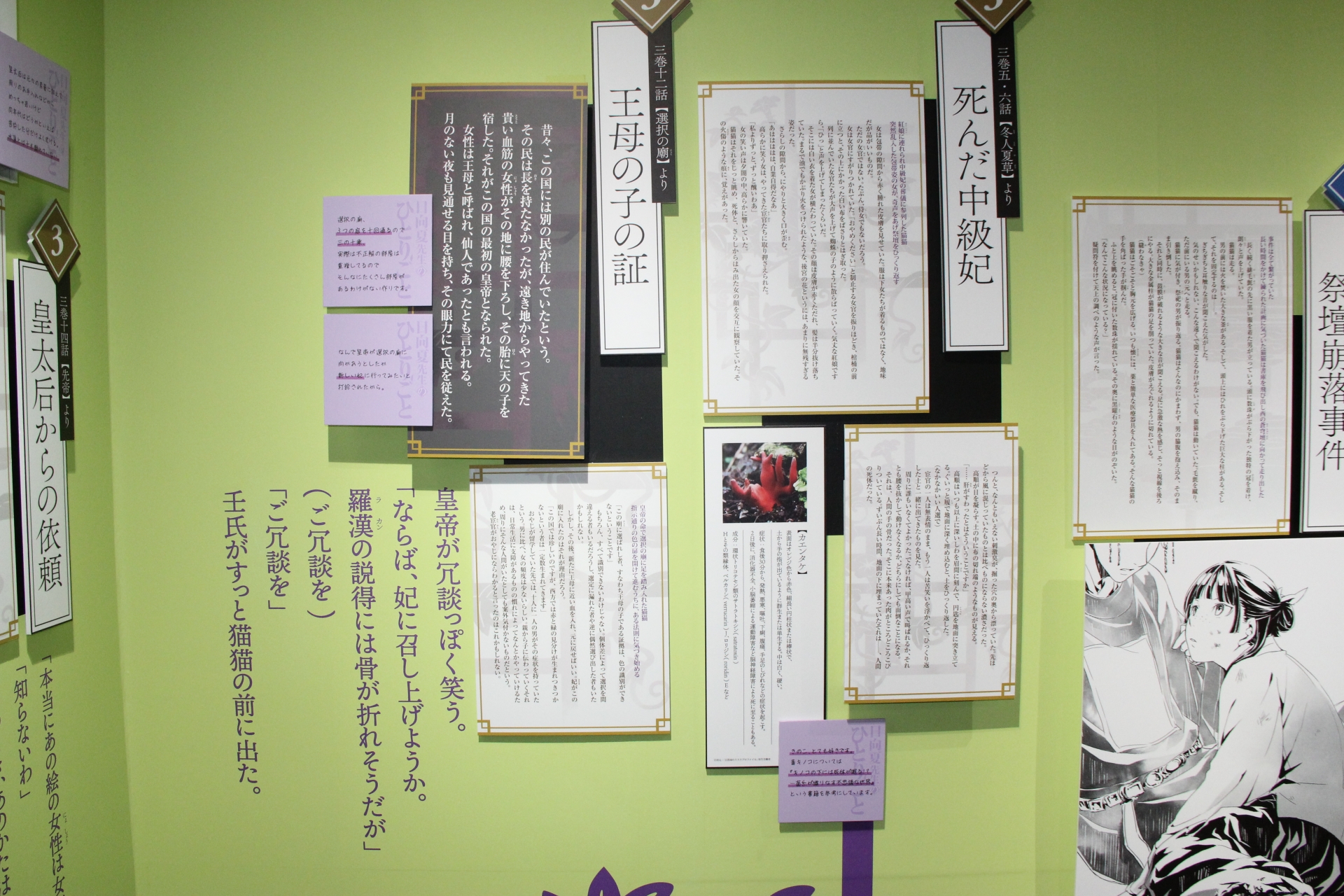 謎解きに関しては小説の該当部分だけでなく、そこで執筆者が何を考えていたかという日向夏氏からのコメントも読むことができる。両方を合わせれば、執筆時にどのようにして謎を創りあげていくのかがわかる……かもしれない!?