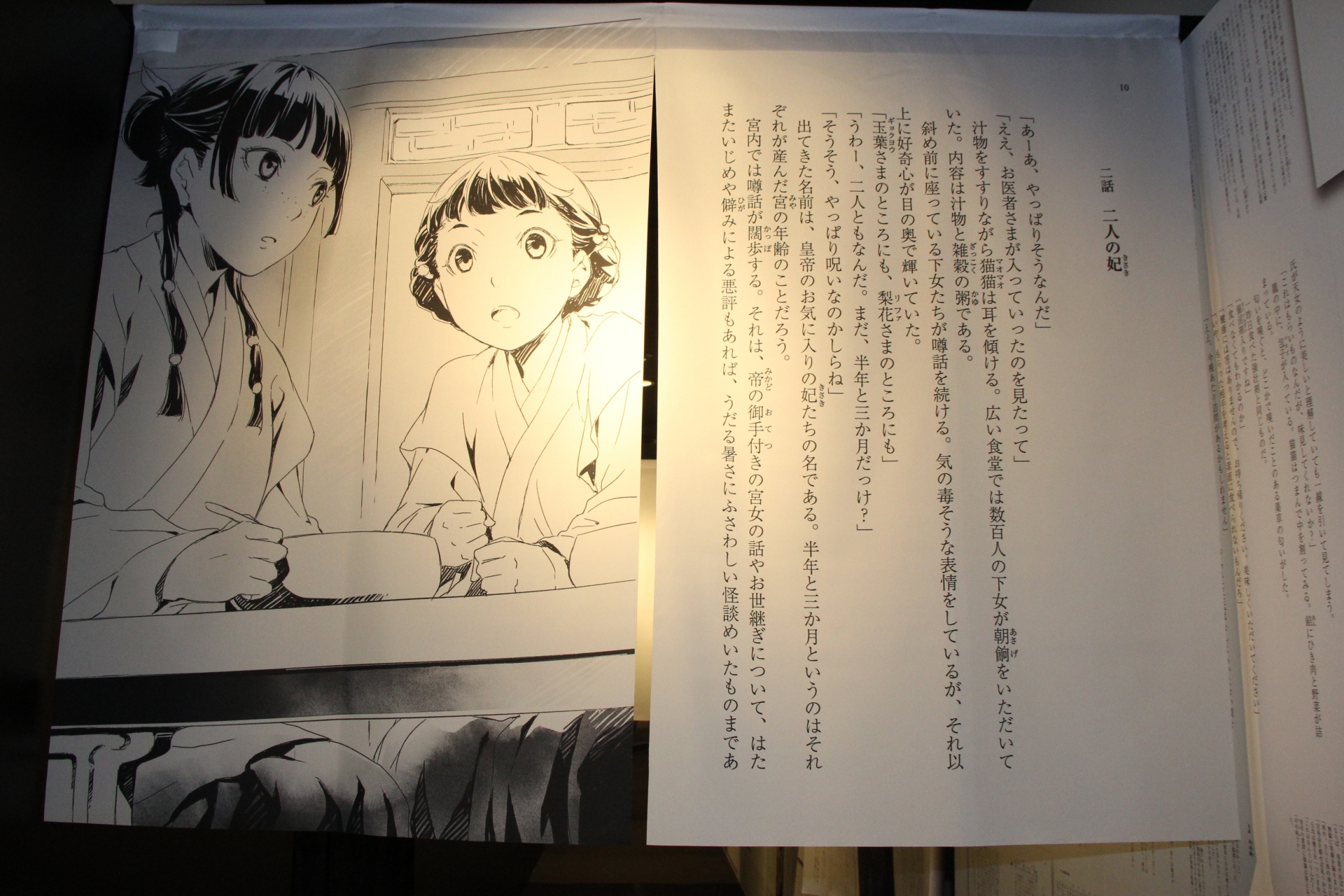 最初の回廊には、右手とのれんに書籍から抜粋した小説のページが飾られている。ジックリと読み進めていくのも楽しい