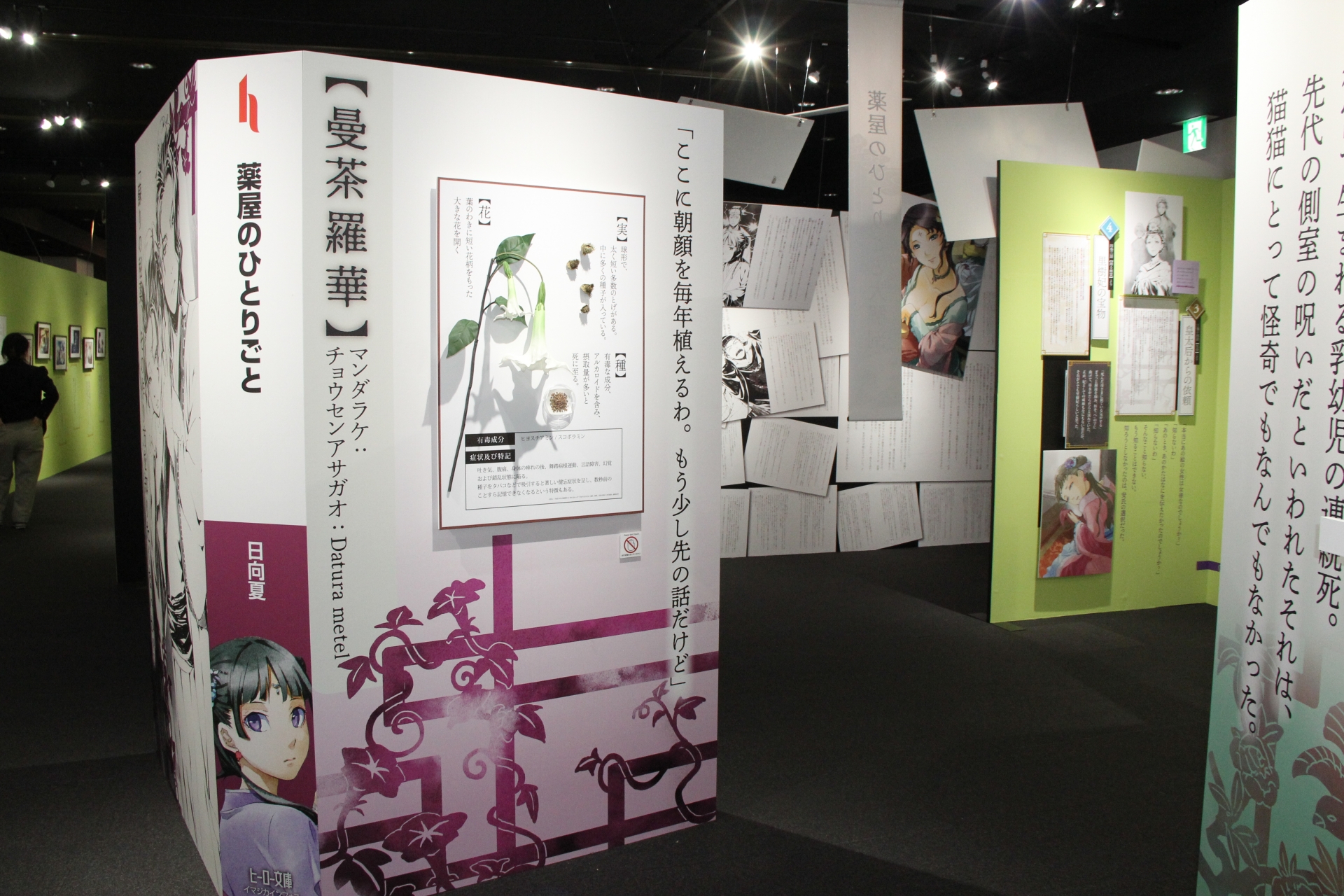 毒については曼荼羅華やおしろい、参考にした書籍の解説などを見ることができる。それらが、ヒーロー文庫から発売されている小説「薬屋のひとりごと」を模した、巨大な本を開いたところに展示されているのもユニークなところ