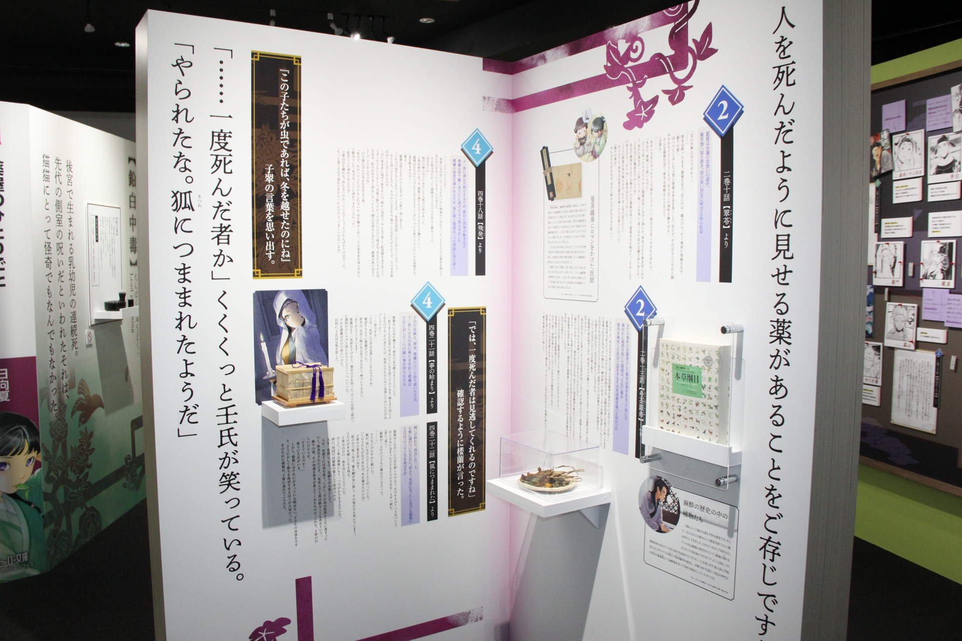 毒については曼荼羅華やおしろい、参考にした書籍の解説などを見ることができる。それらが、ヒーロー文庫から発売されている小説「薬屋のひとりごと」を模した、巨大な本を開いたところに展示されているのもユニークなところ