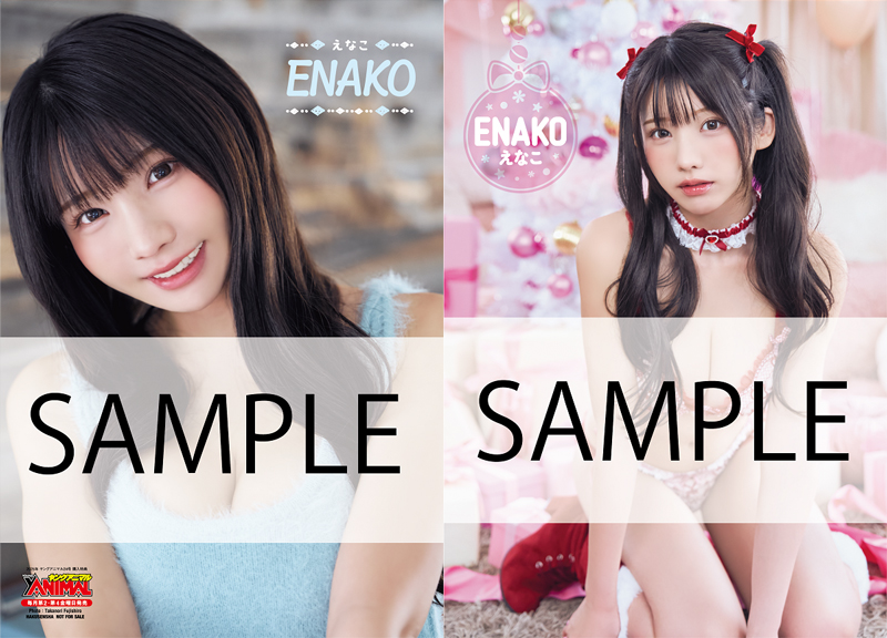 えなこ両面クリアファイル　B柄