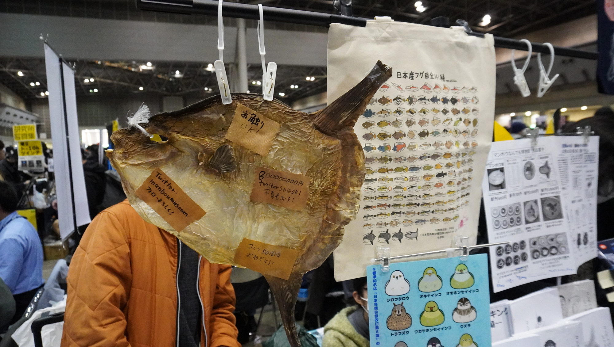 マンボウで博士号を持つガチ研究者のスペース。マンボウに関するディープな本が並んでいた。本物のマンボウの干物も飾られていた