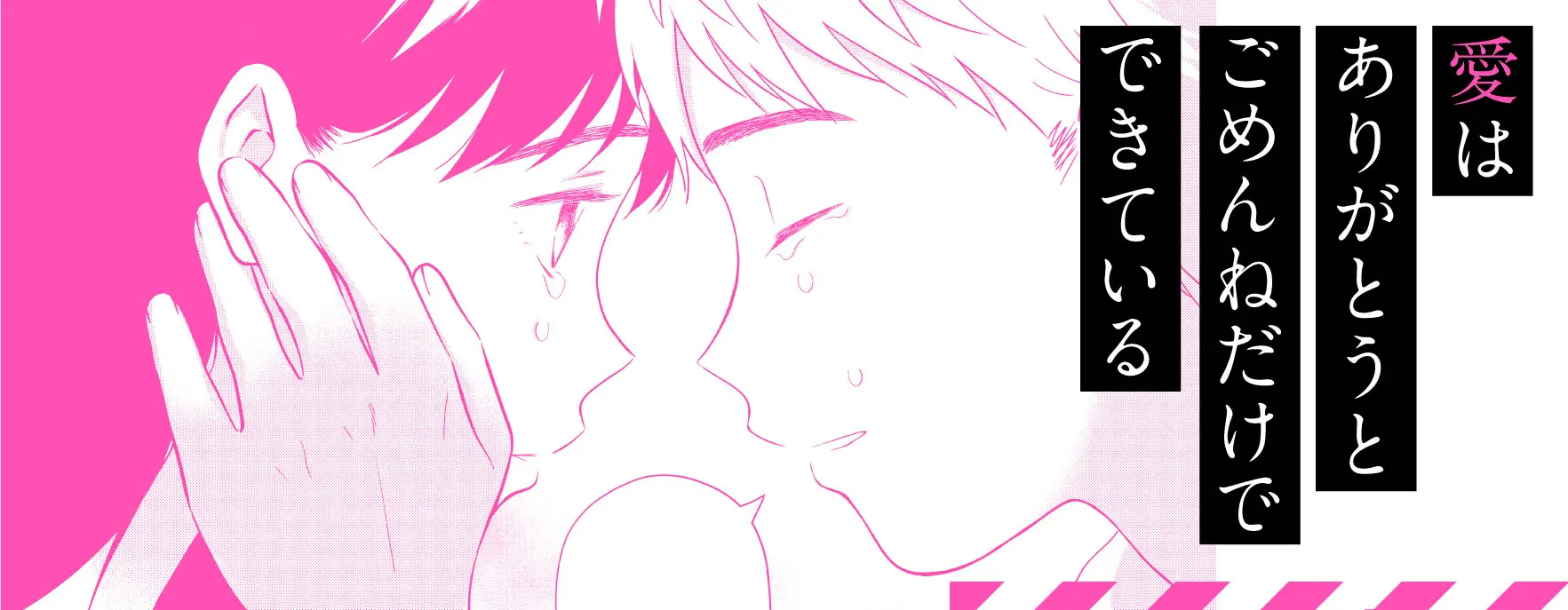 帯には最終巻から二人のシーンを抜粋