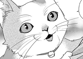<a href="https://www.sunday-webry.com/episode/12207421983325530502" class="n" target="_blank">第96話「向き不向き(2)」を読む</a>