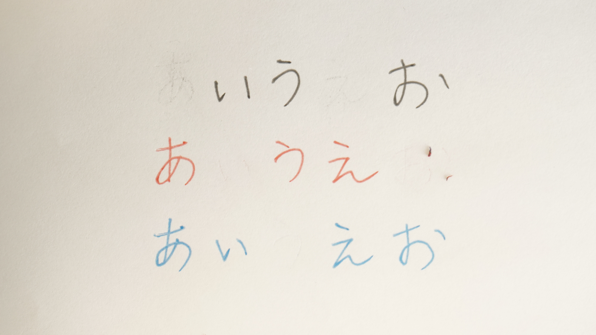 黒は筆跡に沿って多少インクが残っている部分もあるが、赤や青は筆圧でへこんだ痕跡以外は綺麗に消え、小さな消しカスが残る