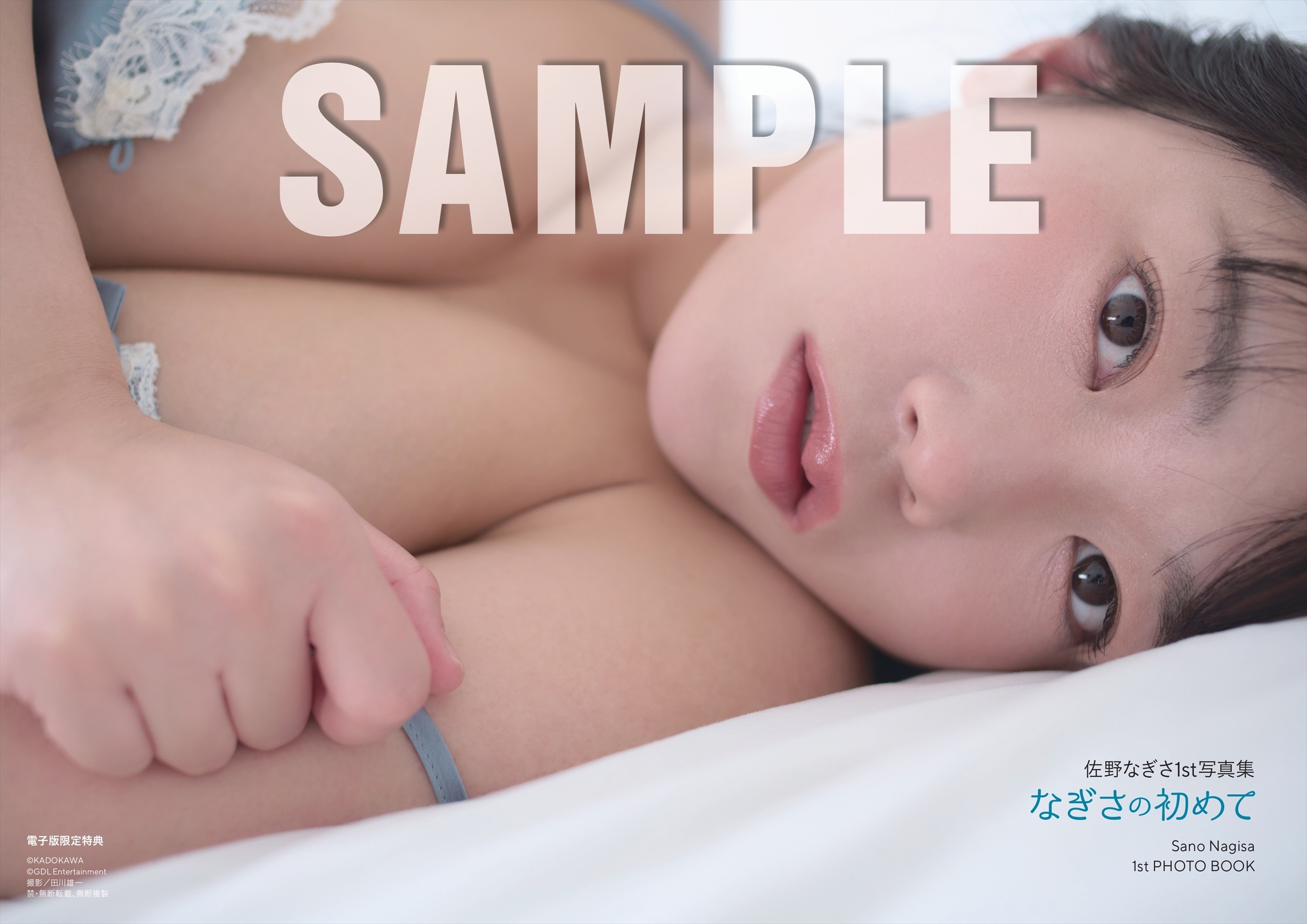 アザーカット（1枚）PDFデータ配信付き