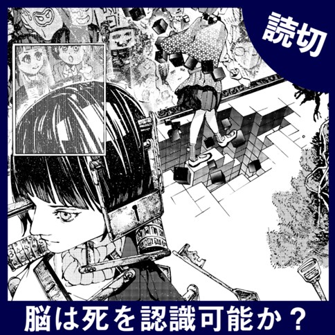 <a href="https://comic-y-ours.com/episode/12207421983394555738" class="n" target="_blank">「脳は死を認識可能か？」のページ</a>