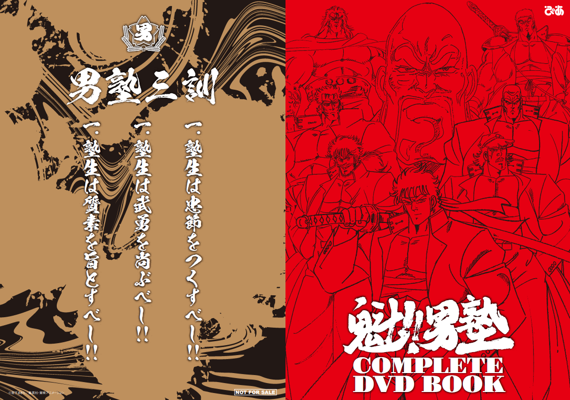 オリジナルクリアファイル（C）宮下あきら／集英社・東映アニメーション