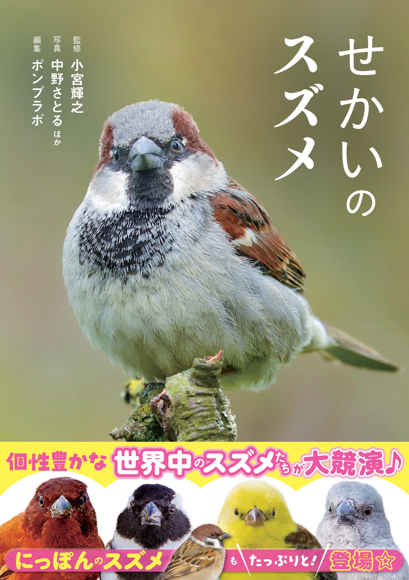 「せかいのスズメ」書影