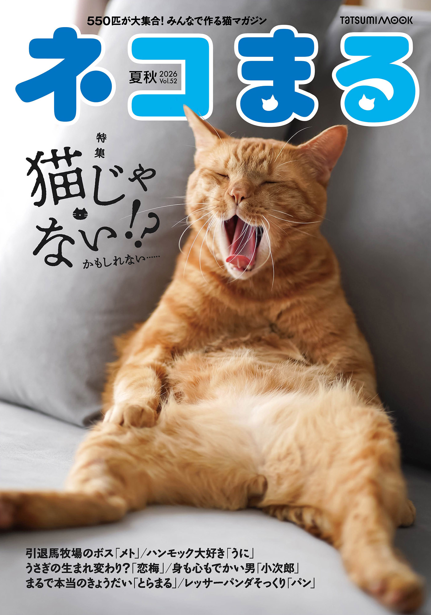 おじさんのような仕草で座る「小次郎」（8歳♂）が表紙に登場