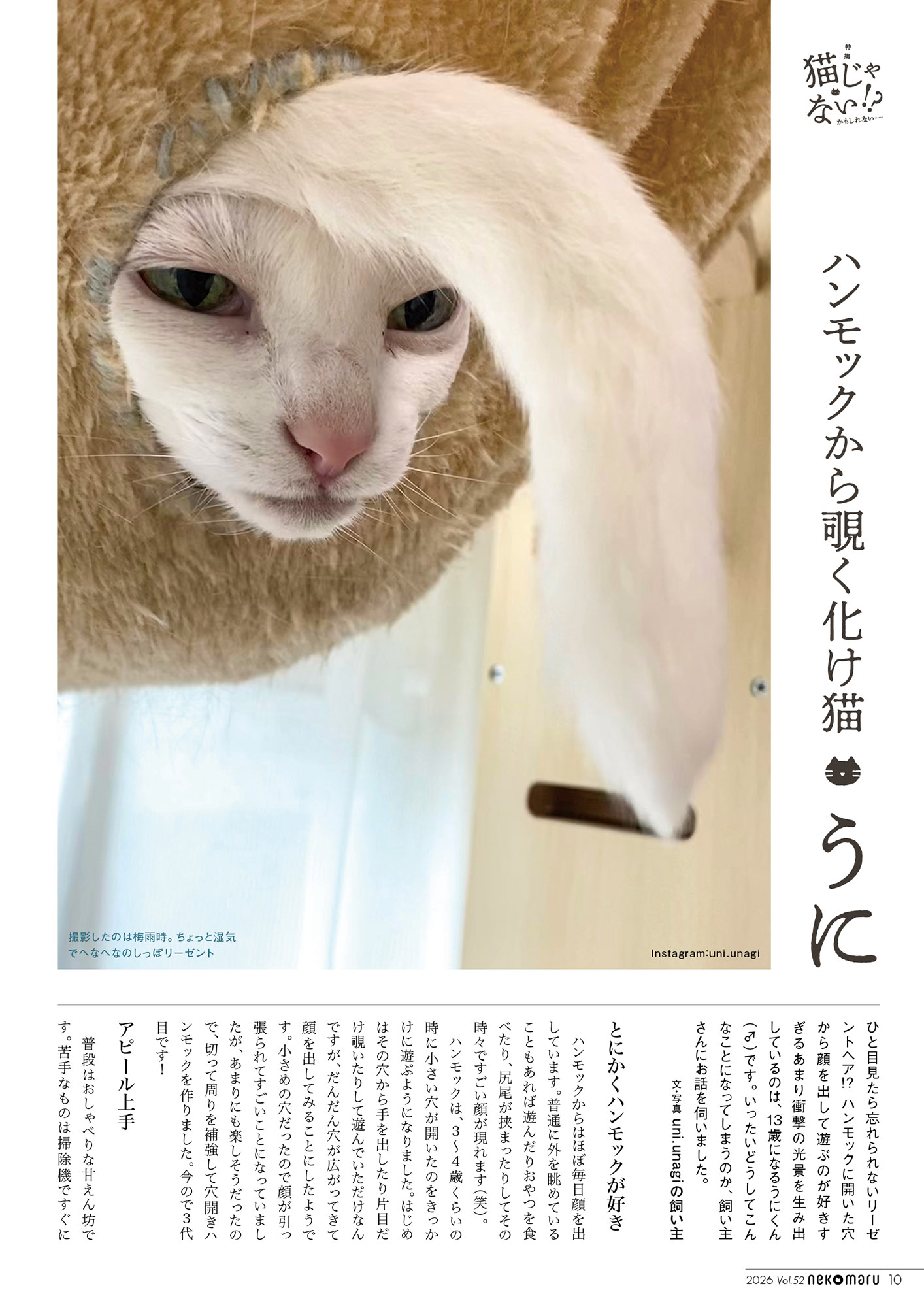 ハンモック大好きな「うに」（13歳♂）。ひと目見たら忘れられないインパクト