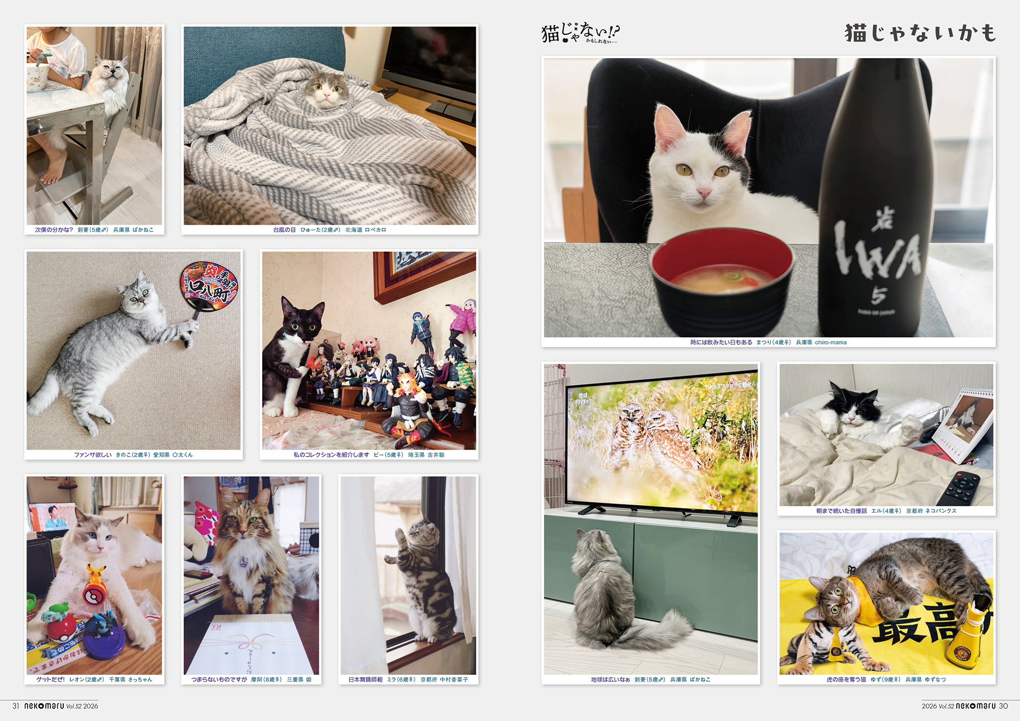 全国の飼い主から寄せられた「猫じゃないかも」と思う瞬間