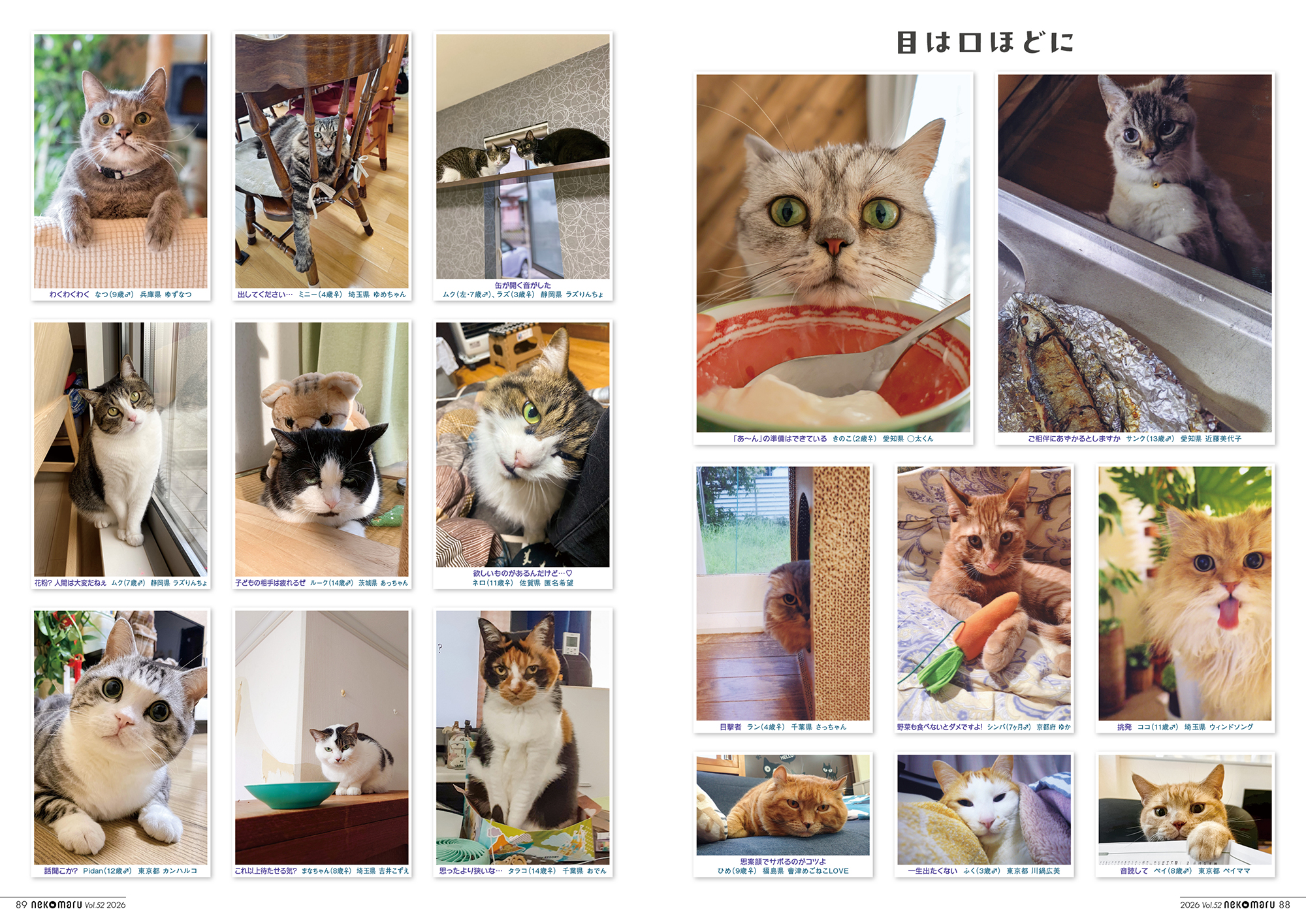 全国の飼い主から寄せられた「猫じゃないかも」と思う瞬間