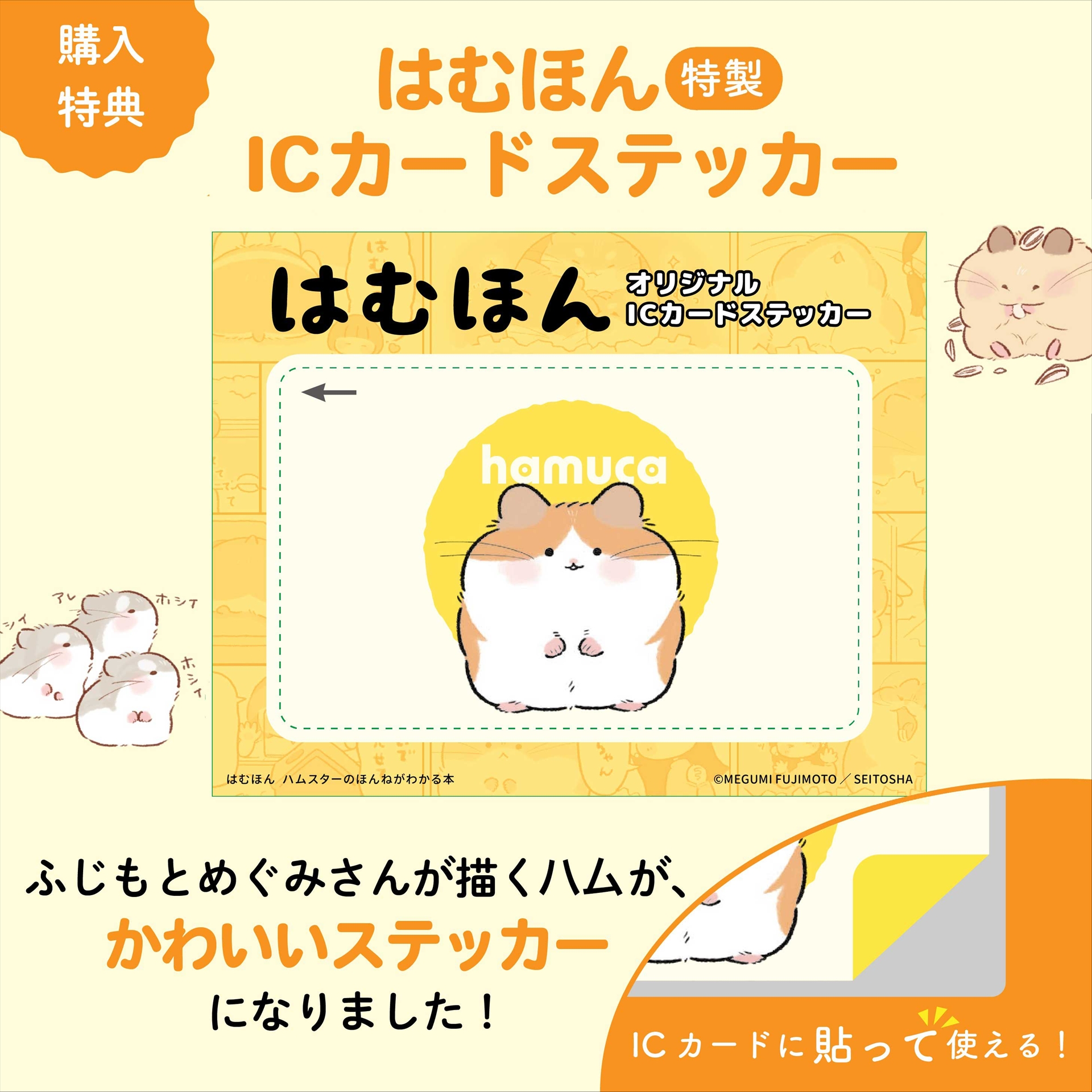 対象書店