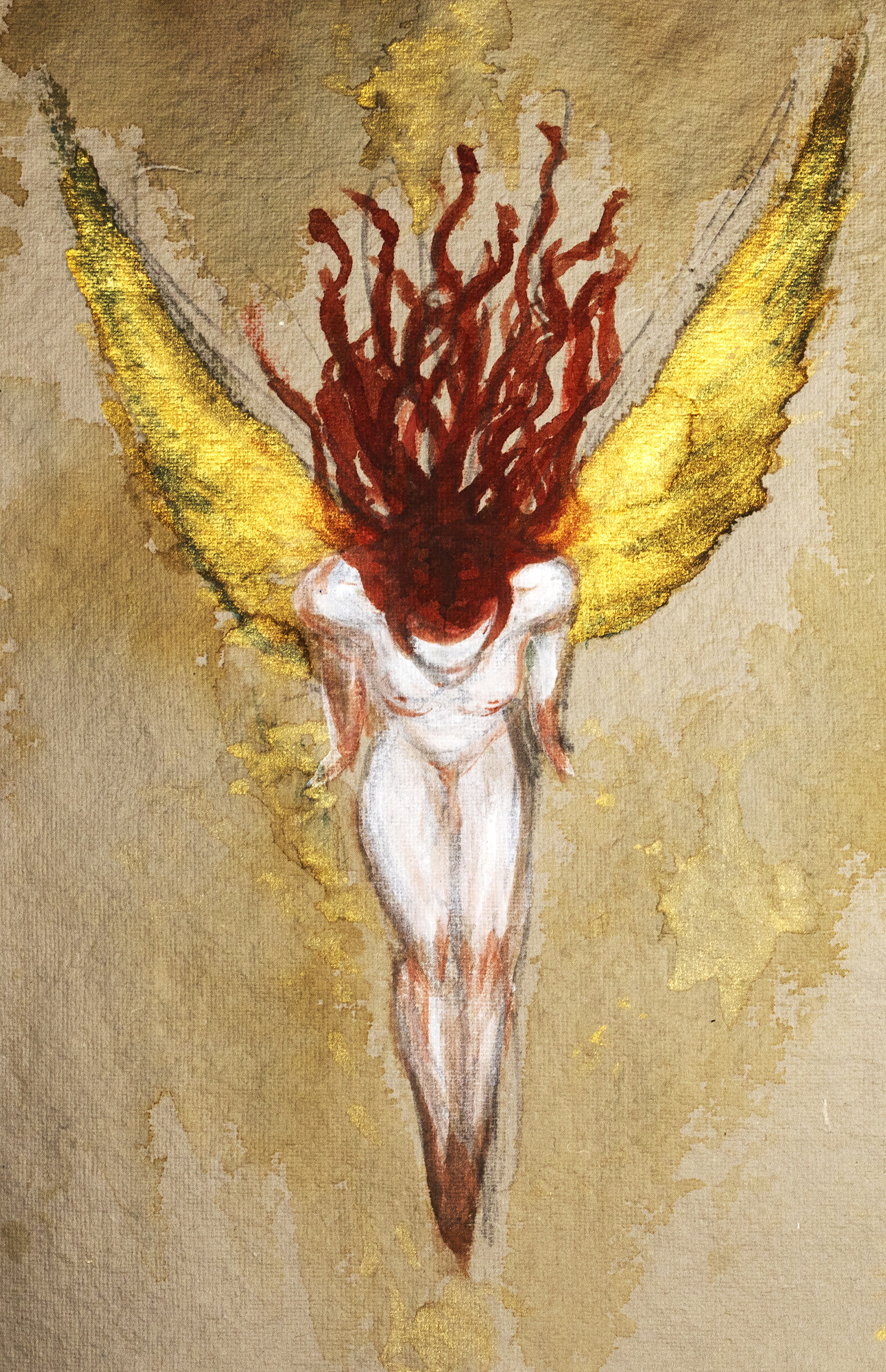 (C) YOSHITAKA AMANO