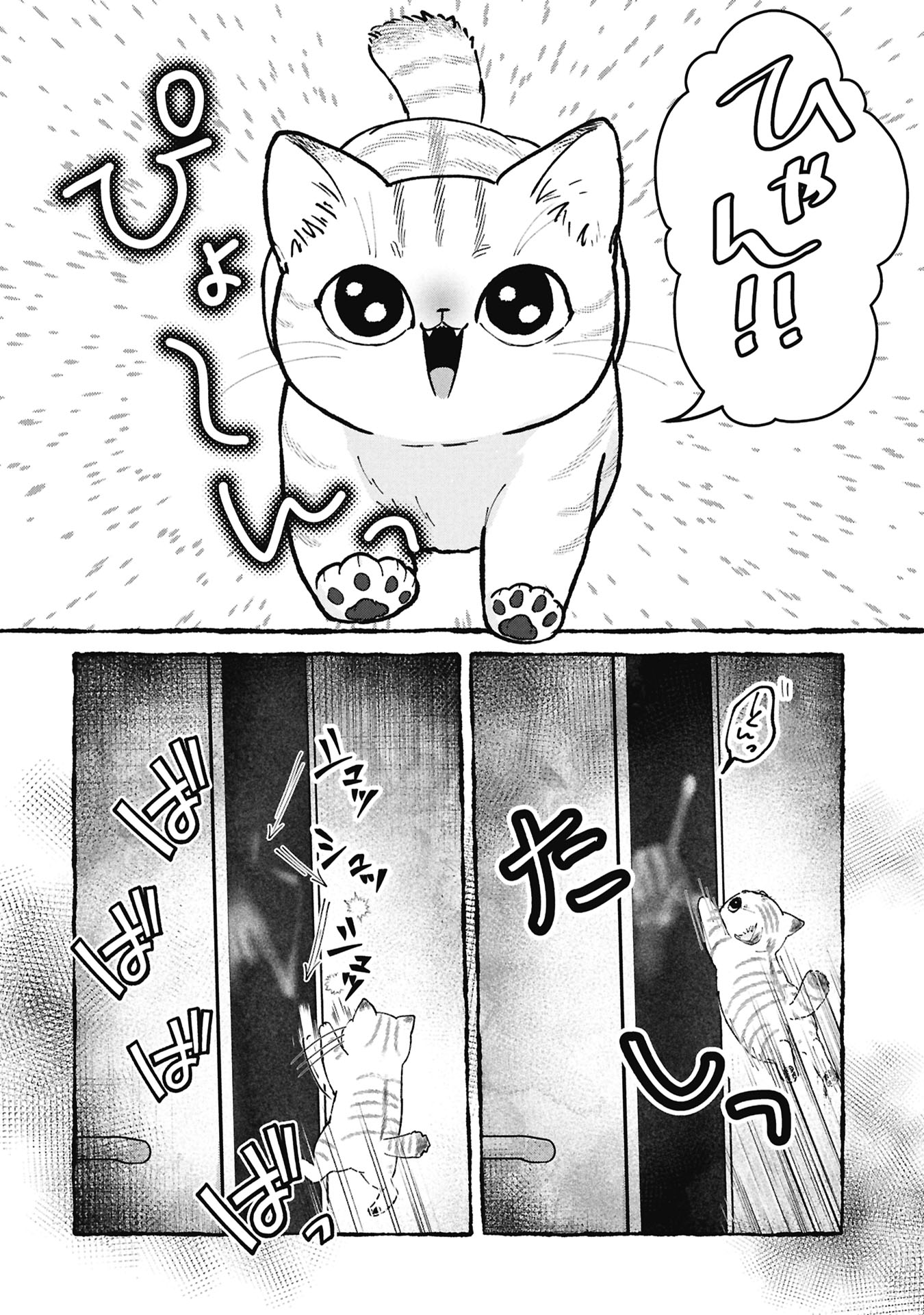 『事故物件で猫を飼う』（C）澤部なみ/新潮社