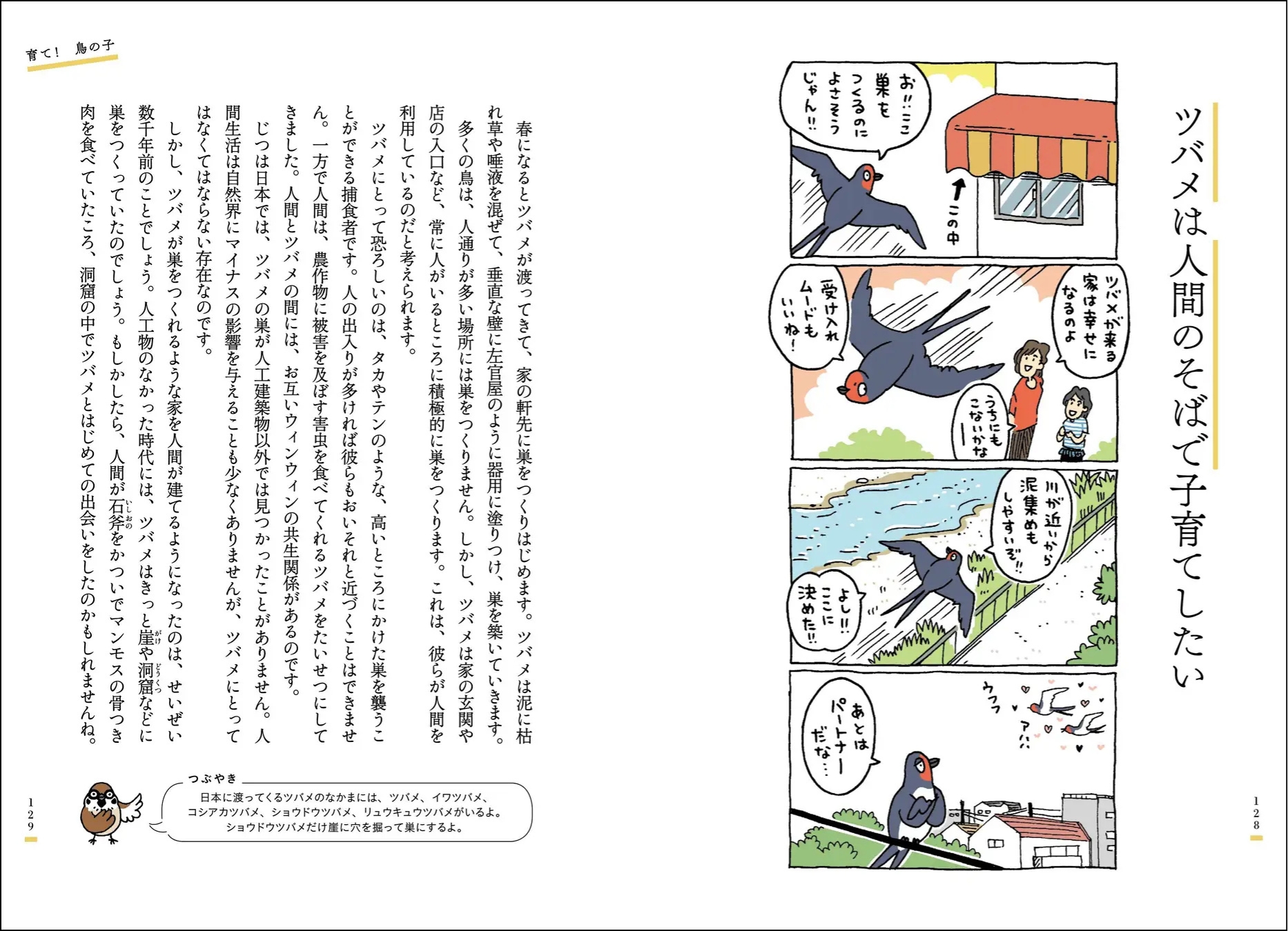 4章 育て! 鳥の子