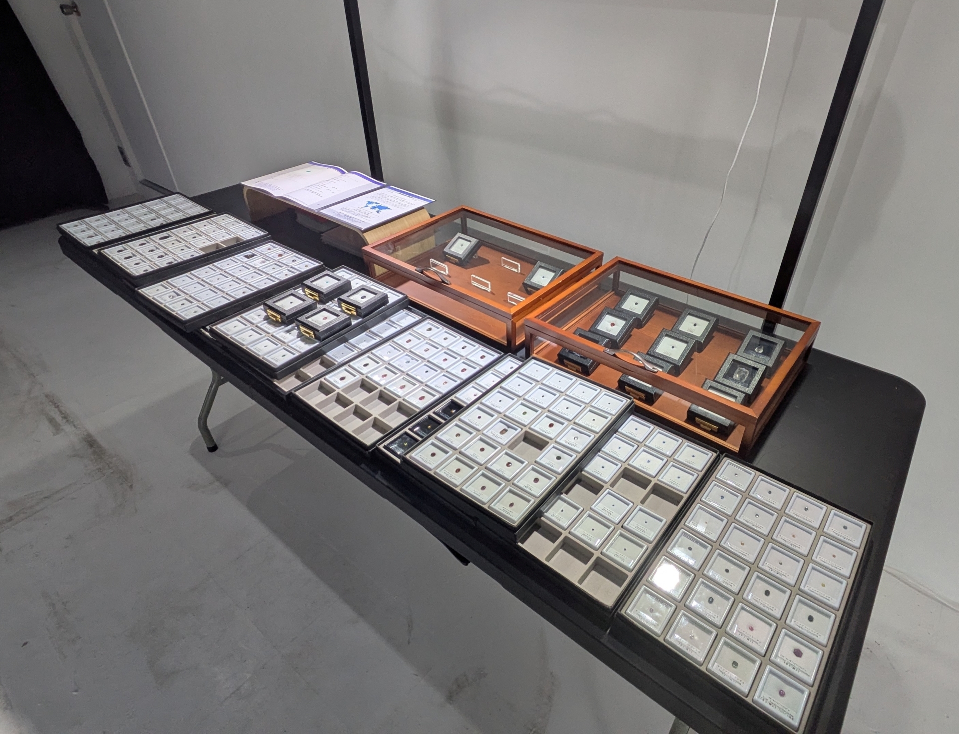 会場内のルースが展示されているコーナー