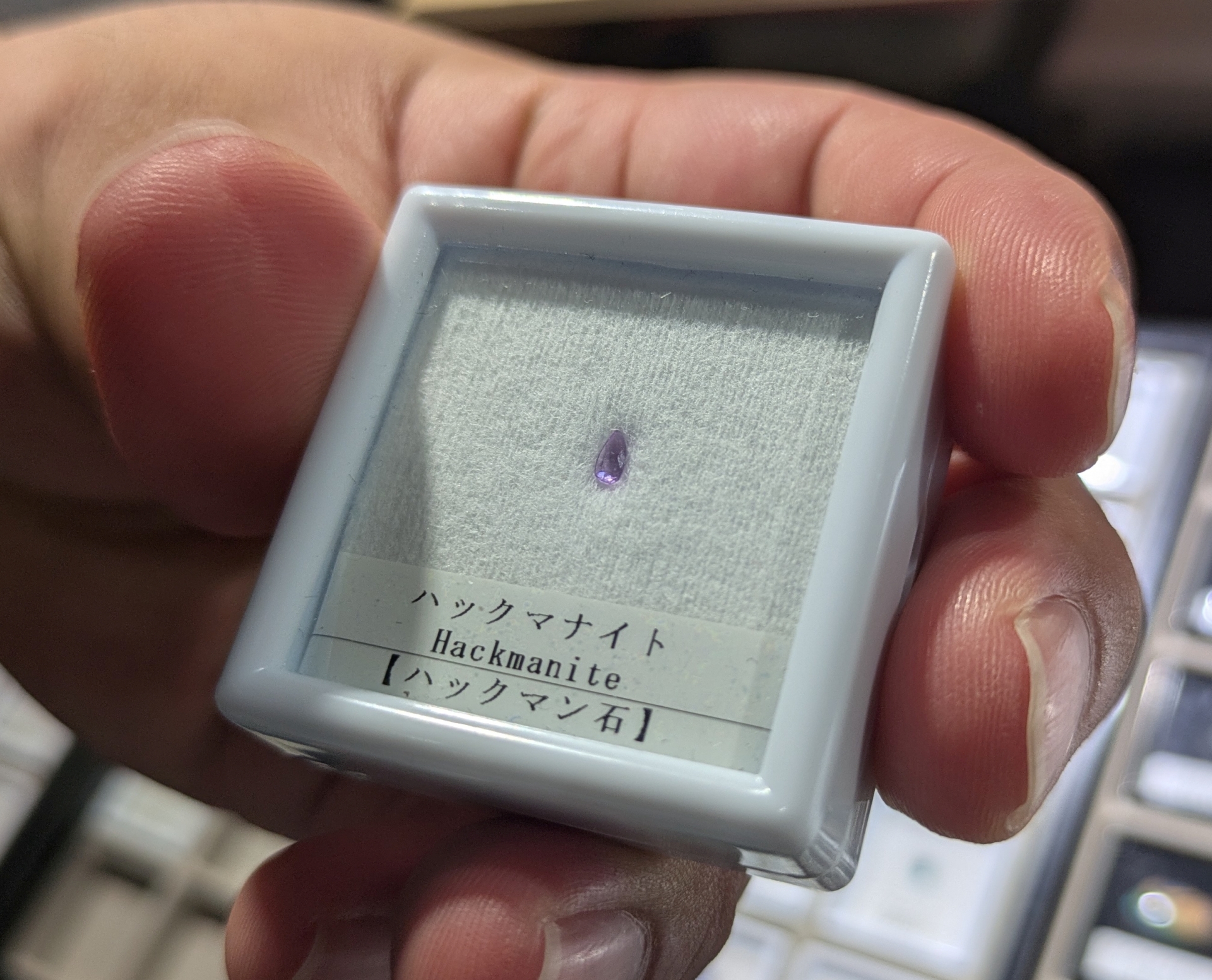 「ハックマナイト」という石にUVライトを当てると、淡いラベンダーが濃く変色する。これは「テネブレッセンス」という現象だそうで、時間が経つと色が元に戻る。ライトによる変色を見たのは初めてで、思わず驚きの声が出た