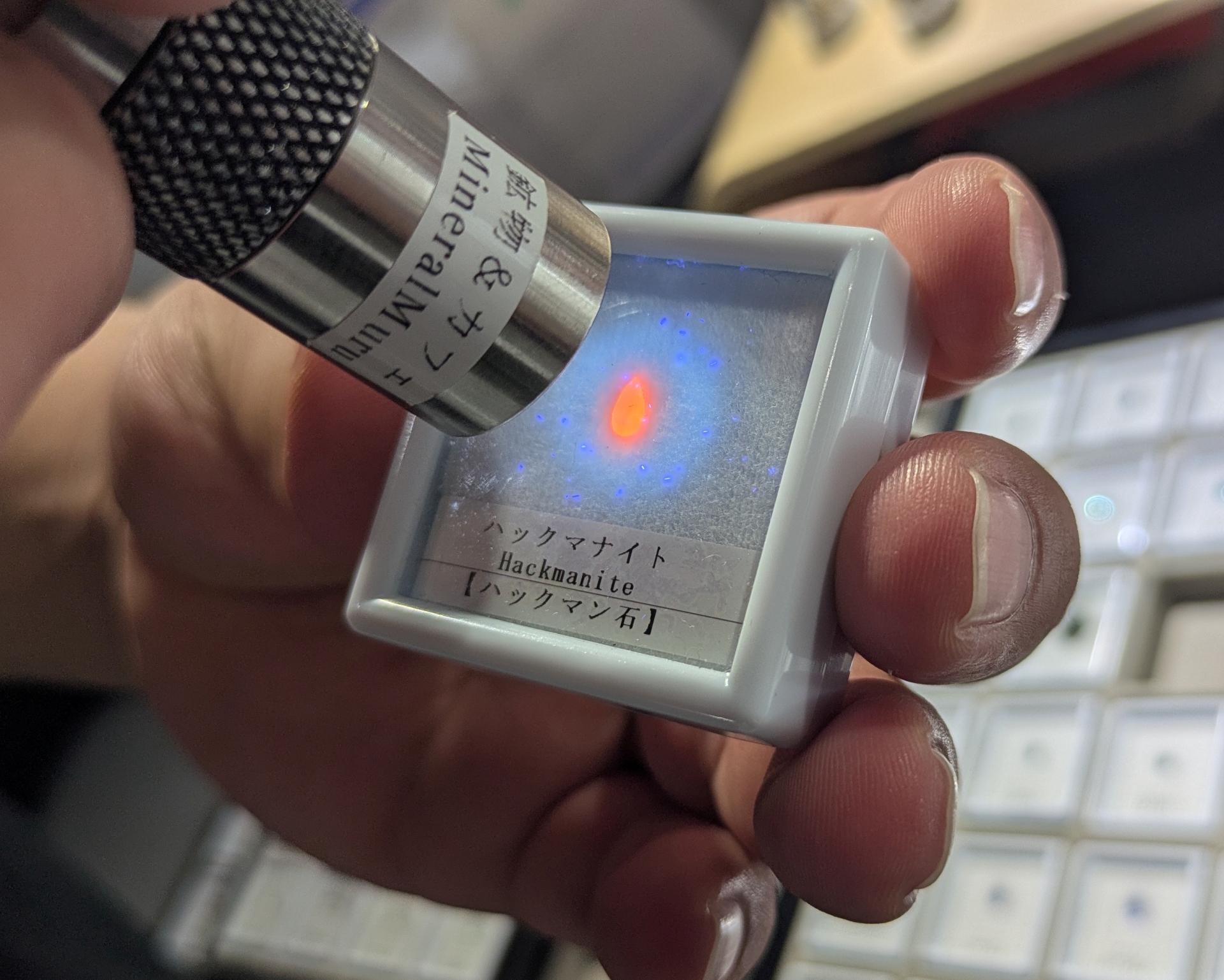 「ハックマナイト」という石にUVライトを当てると、淡いラベンダーが濃く変色する。これは「テネブレッセンス」という現象だそうで、時間が経つと色が元に戻る。ライトによる変色を見たのは初めてで、思わず驚きの声が出た