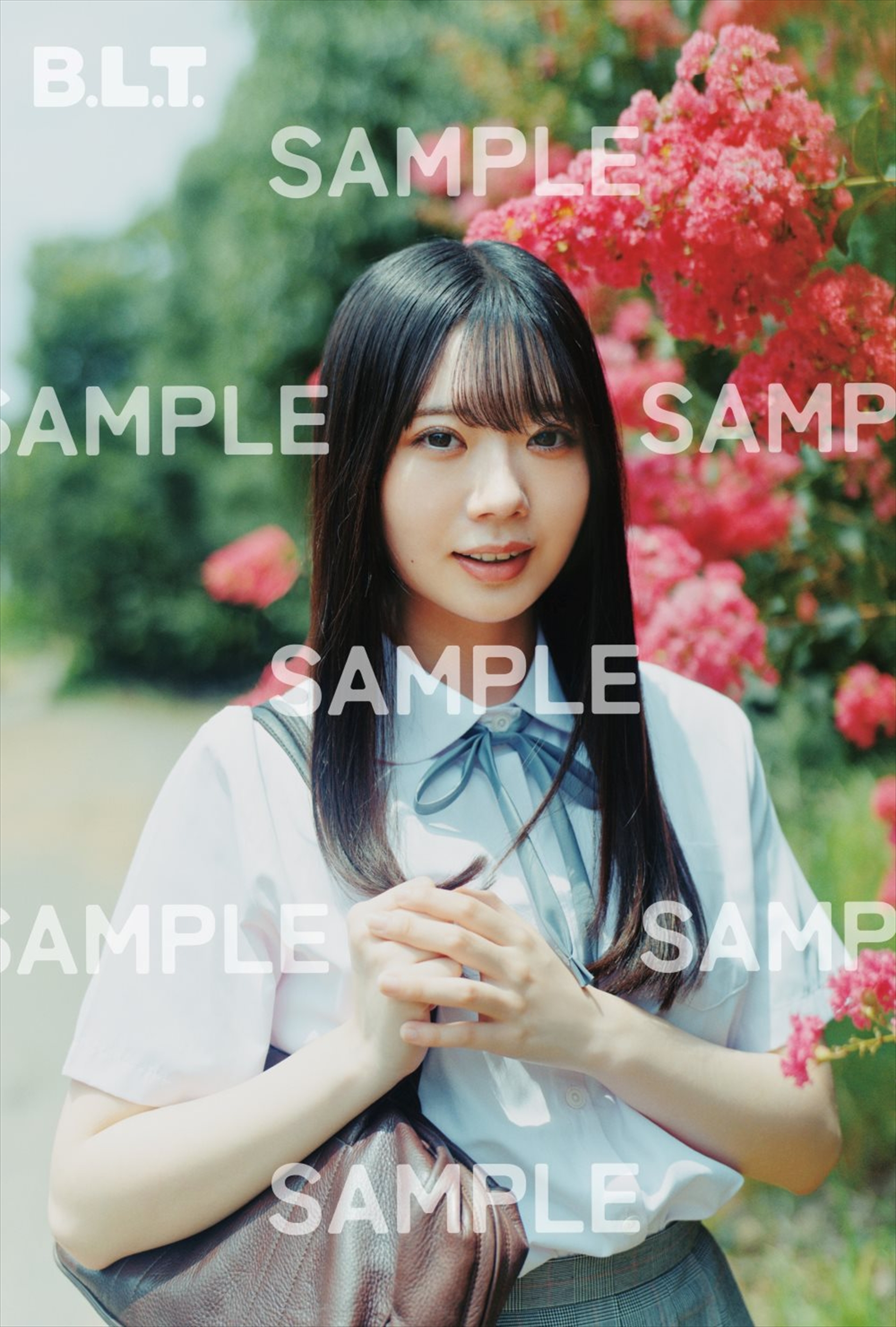 坂井新奈（日向坂46） ポストカード1枚