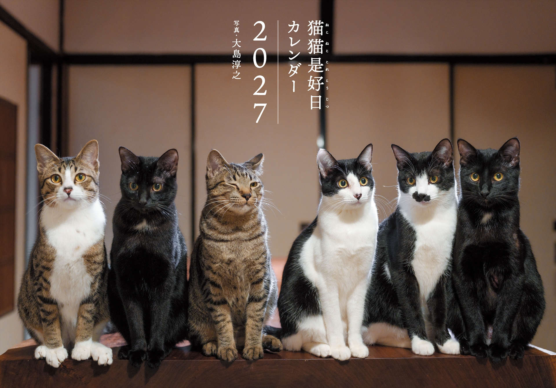 2027カレンダー 猫猫是好日