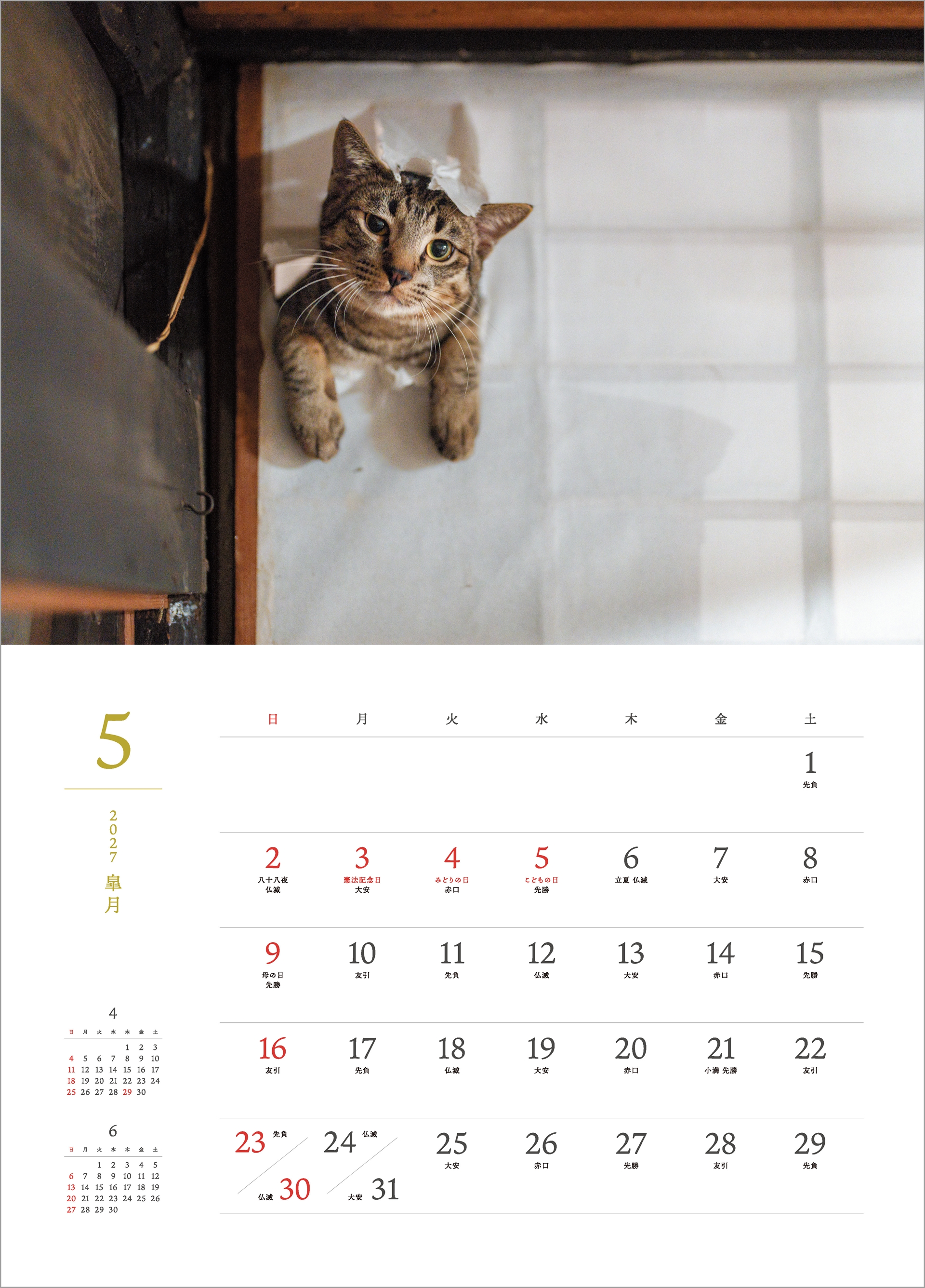 5月