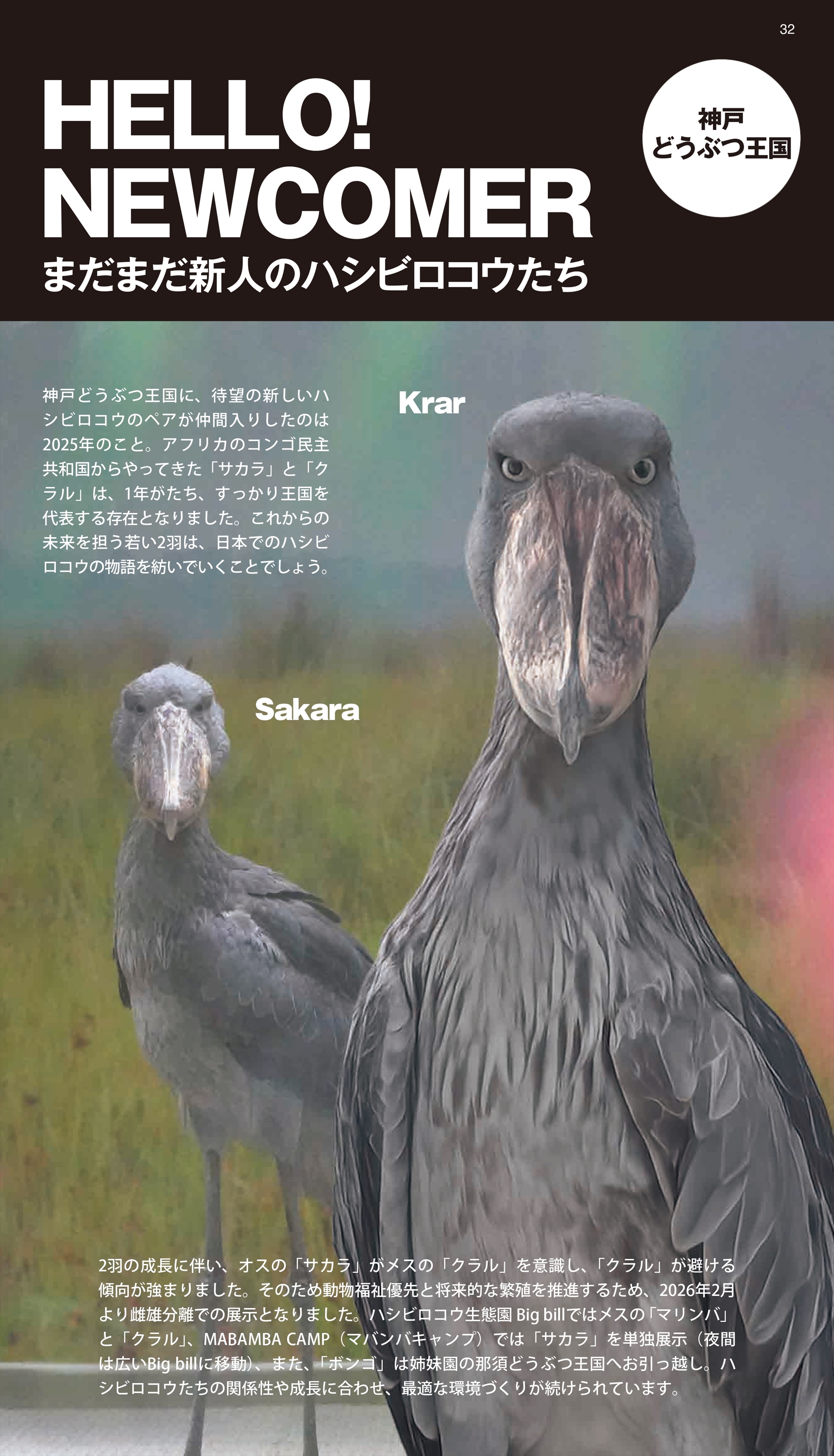 読み物ページも充実