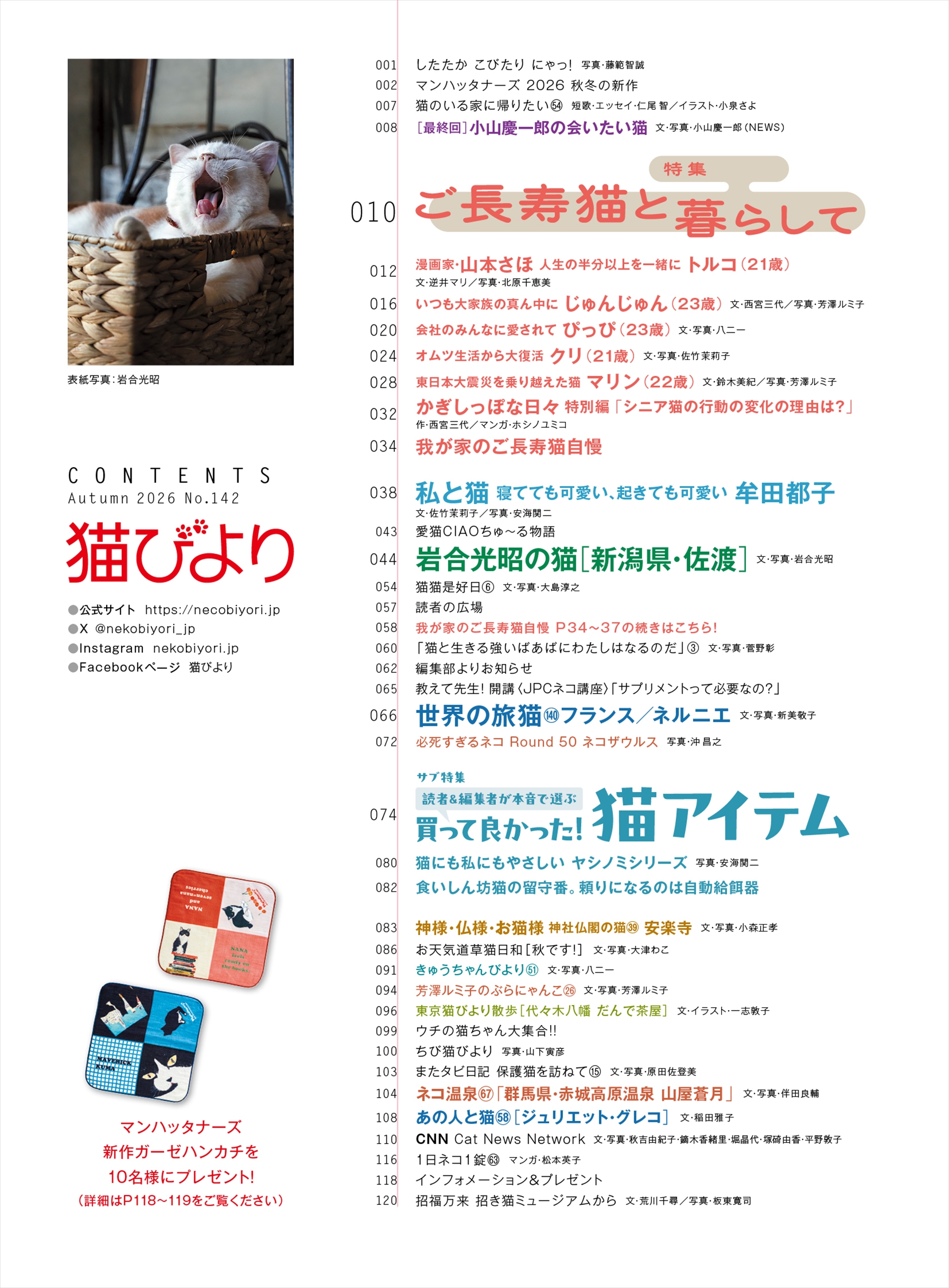 サブ特集は「読者＆編集者が本音で選ぶ　買って良かった！猫アイテム」
