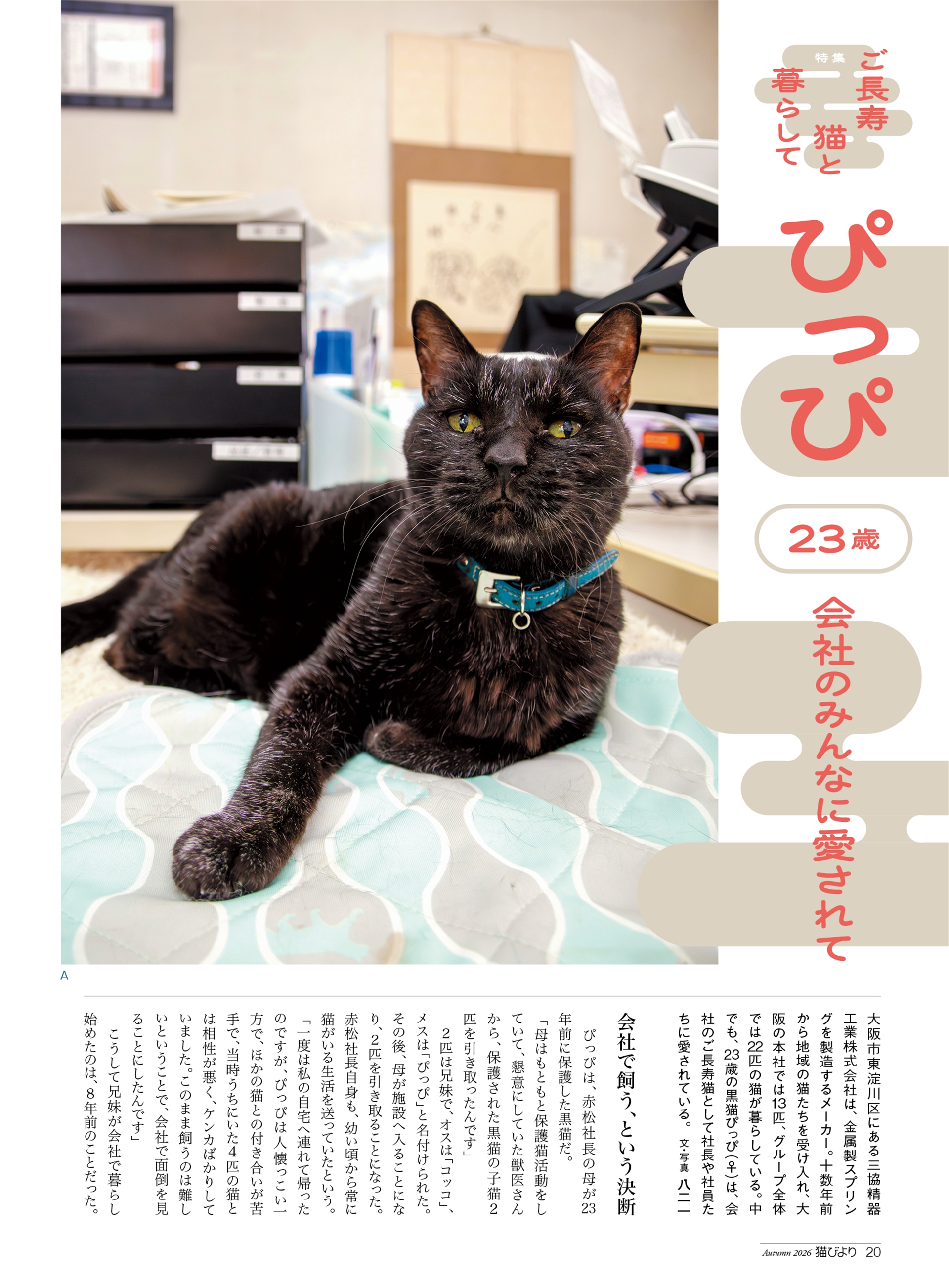 混じる白髪もたまらなく可愛い「ぴっぴ」（23歳♀）