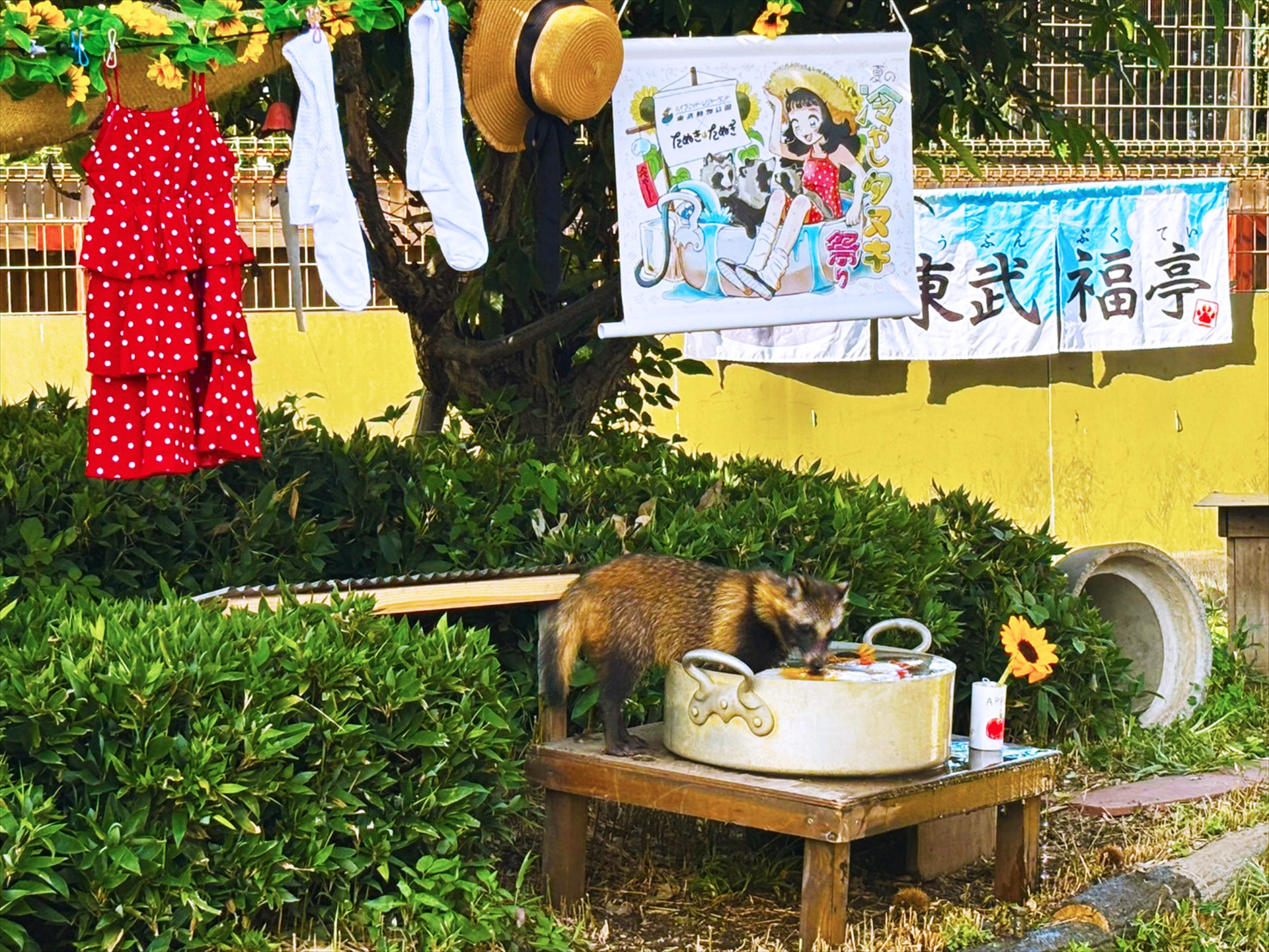 イベントの様子