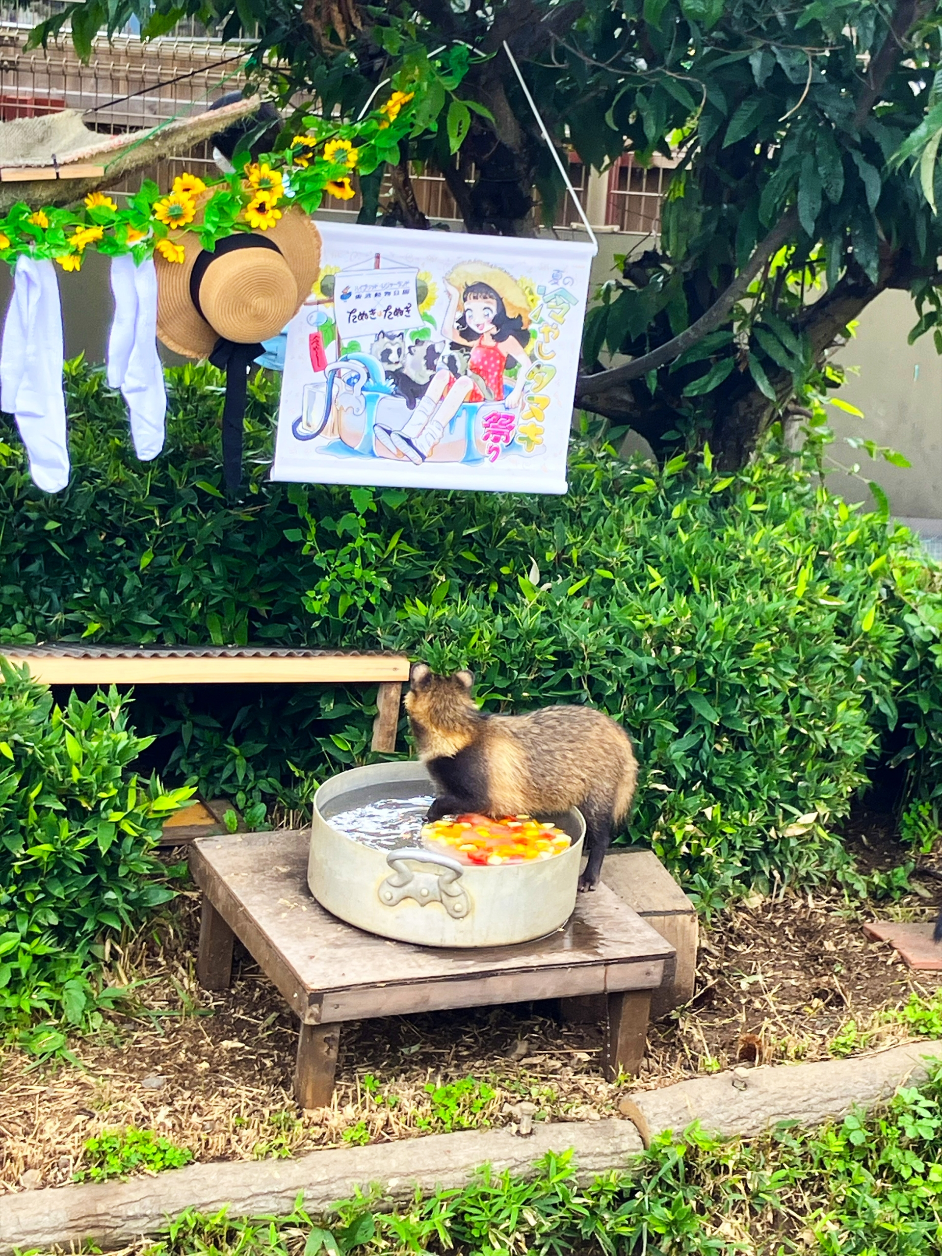 イベントの様子