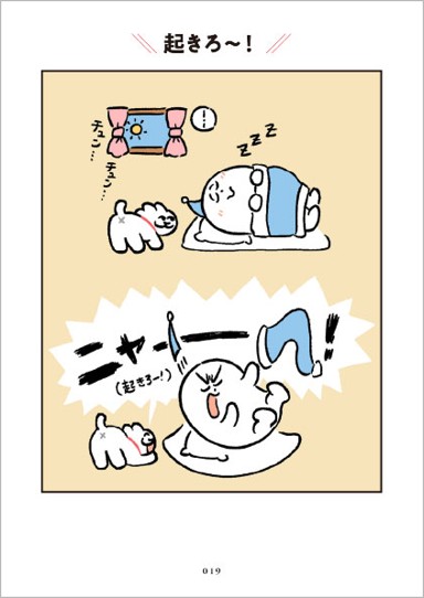 (C)shimobe 2026