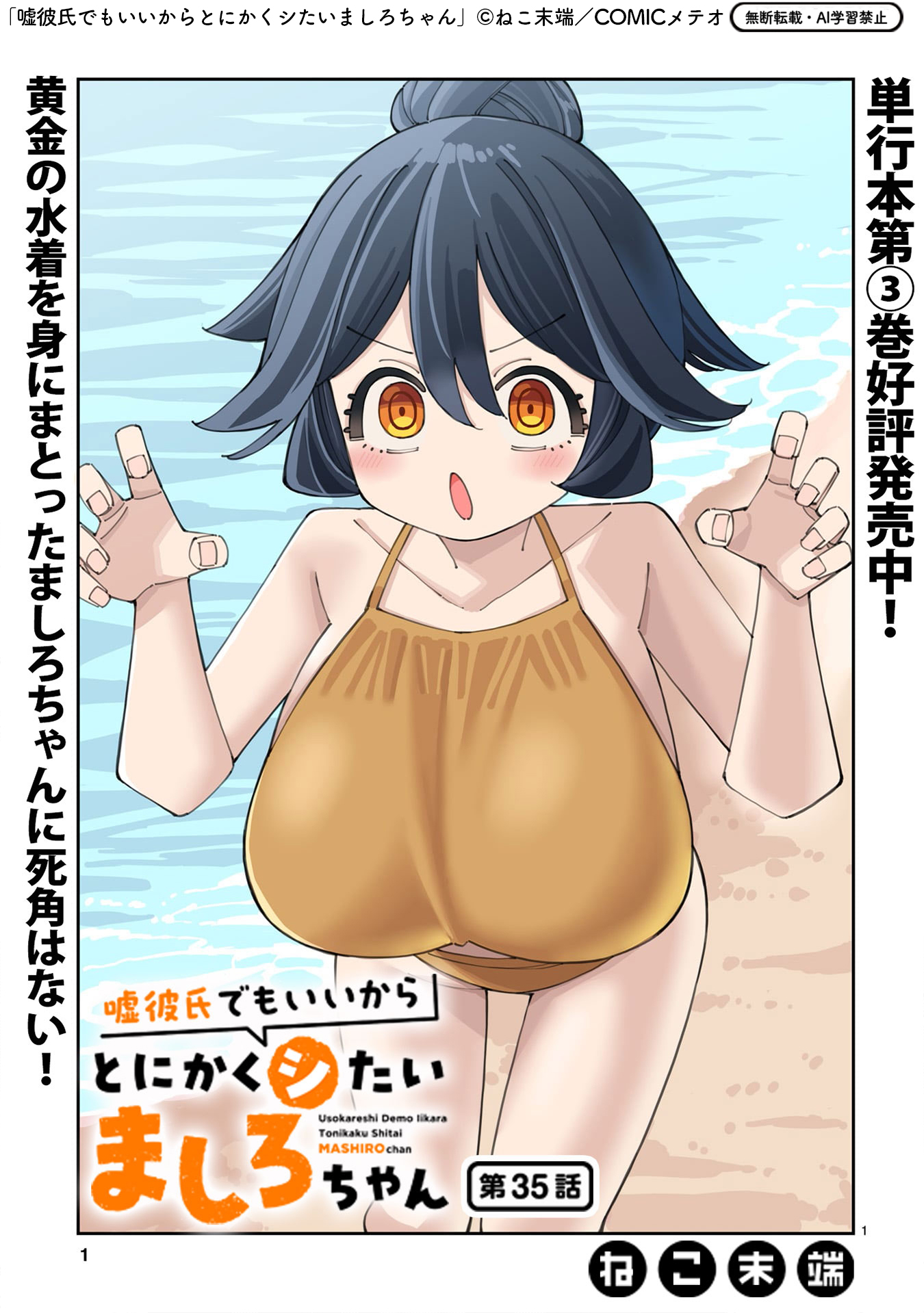<a href="https://kirapo.jp/pt/meteor/mashirochan/2023109/viewer" class="n" target="_blank">第35話を読む</a>